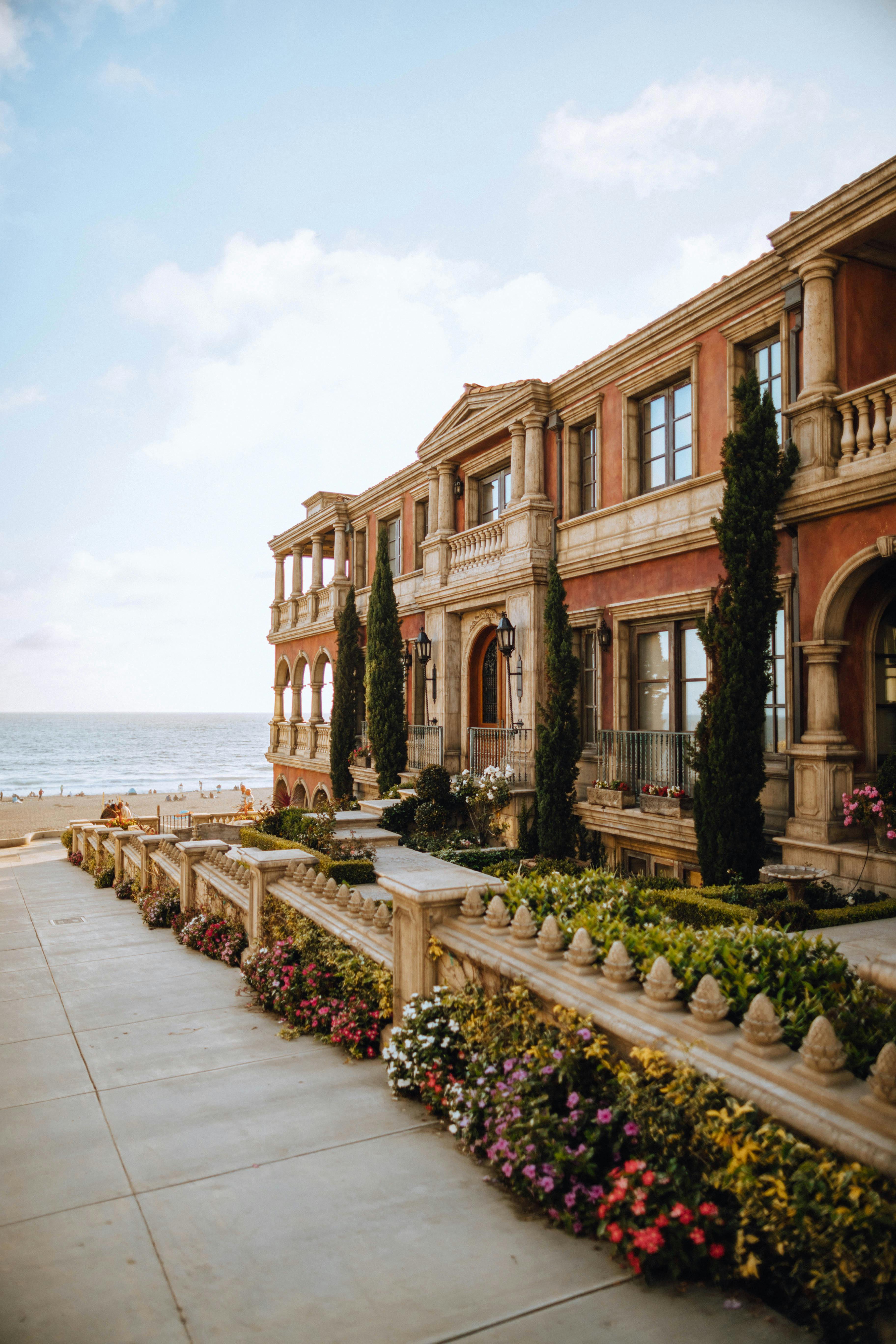 Close-up of a tree stump showing growth rings and a textured brown wood surface.