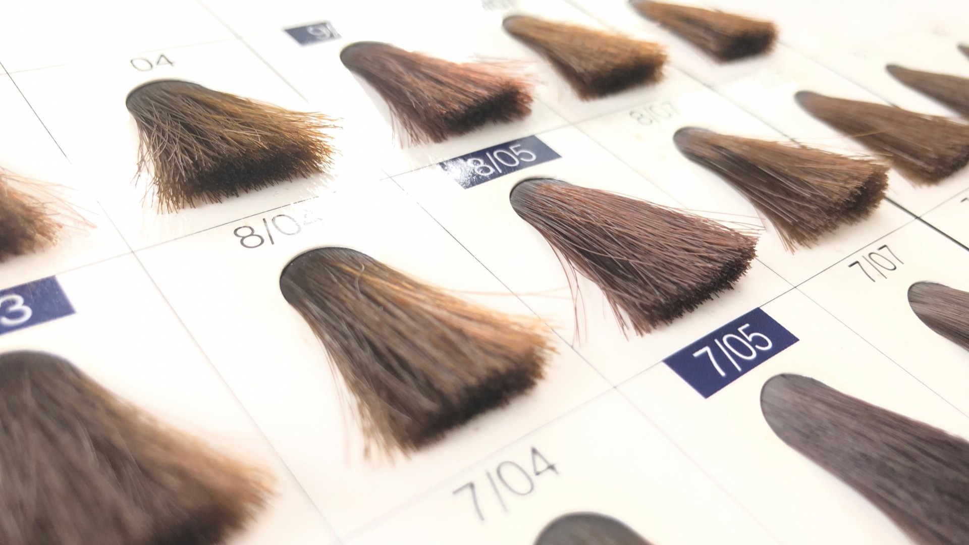 ヘアカラーの見本