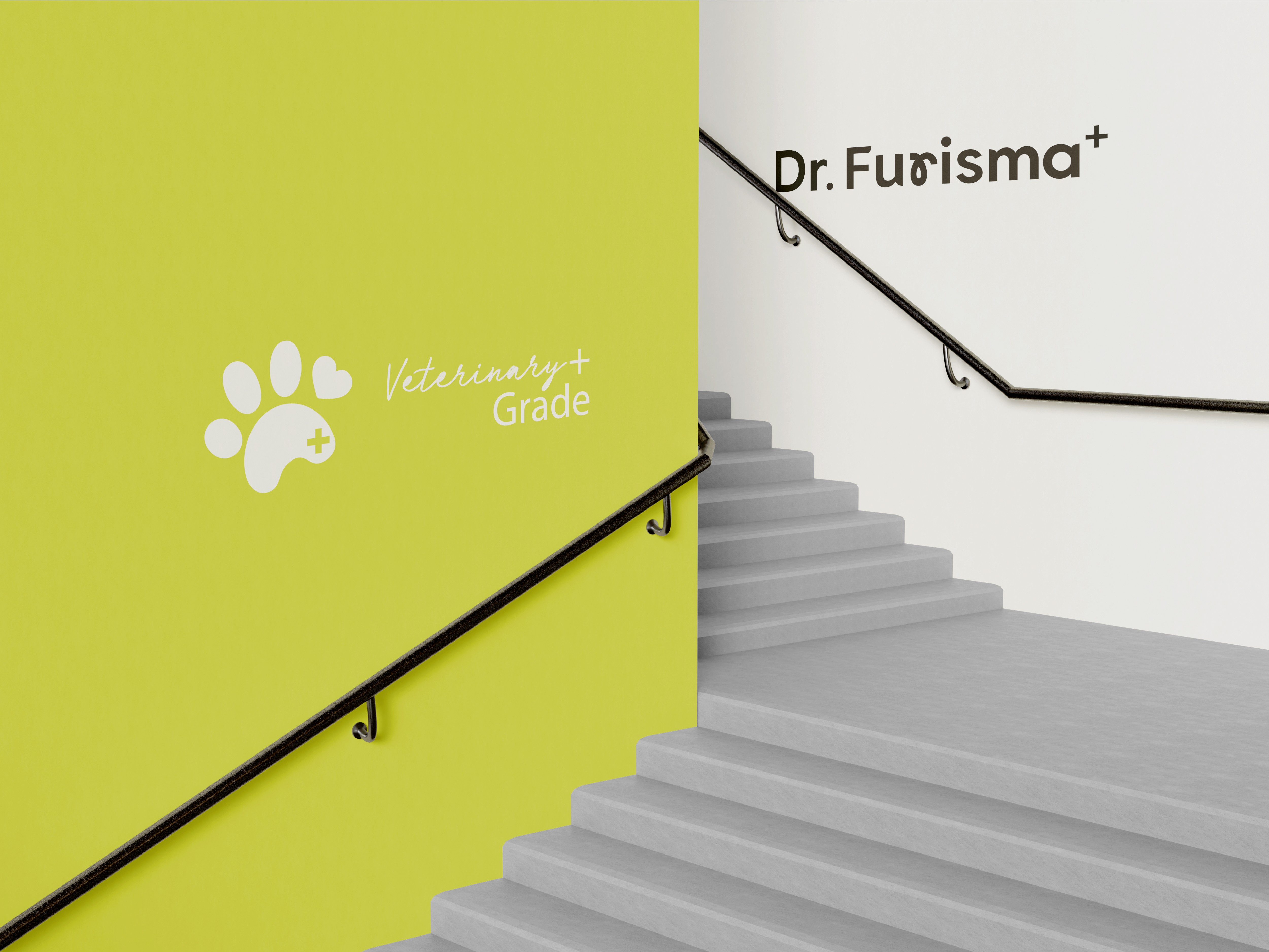 DR.Furisma 04