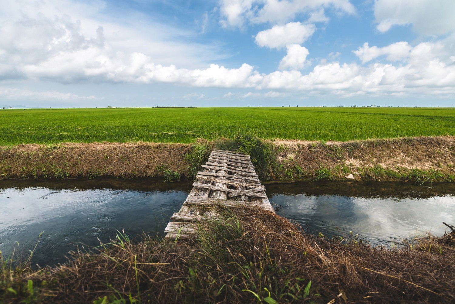 water in farmland