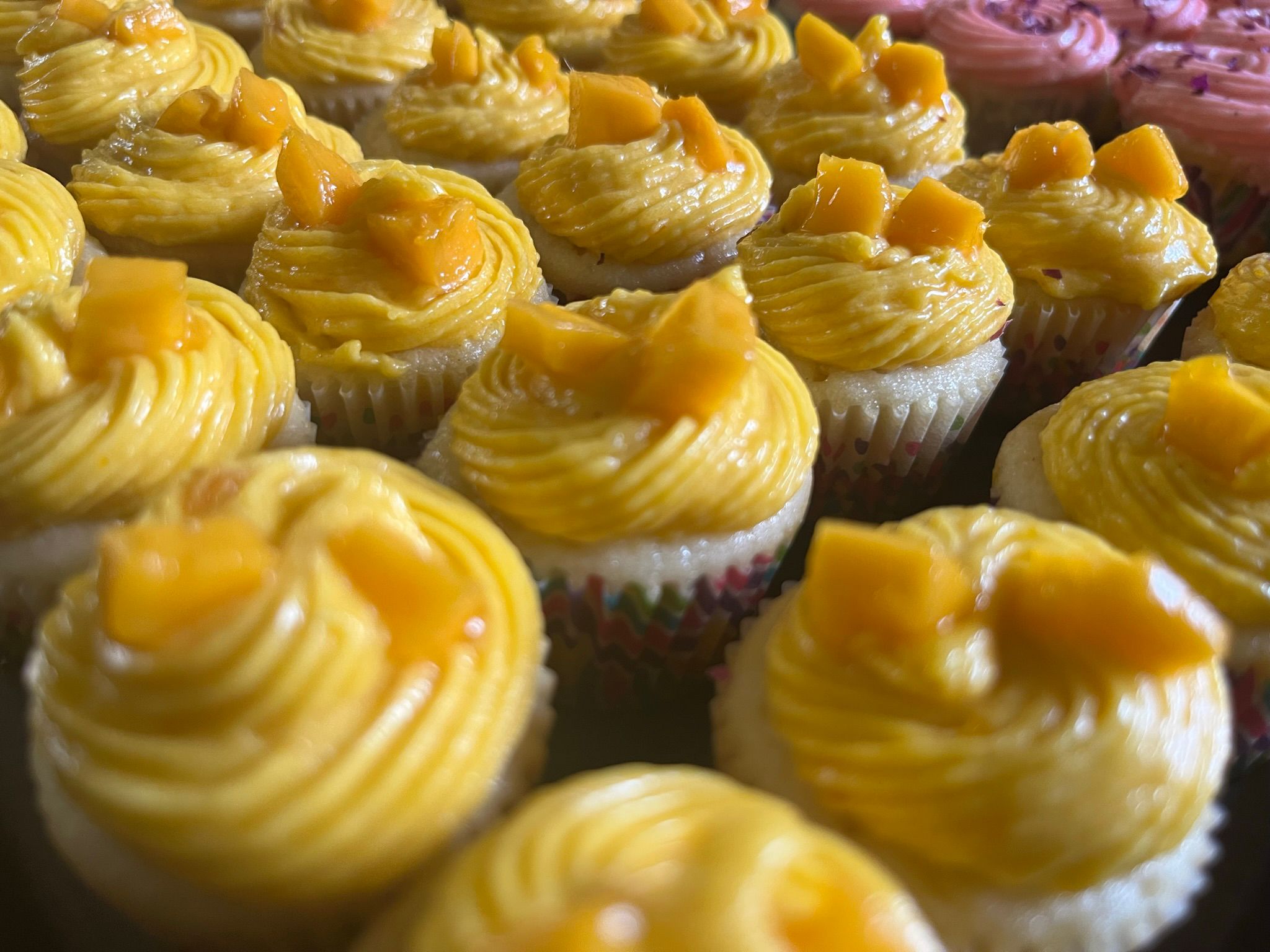 a glass of Vetz Spritz