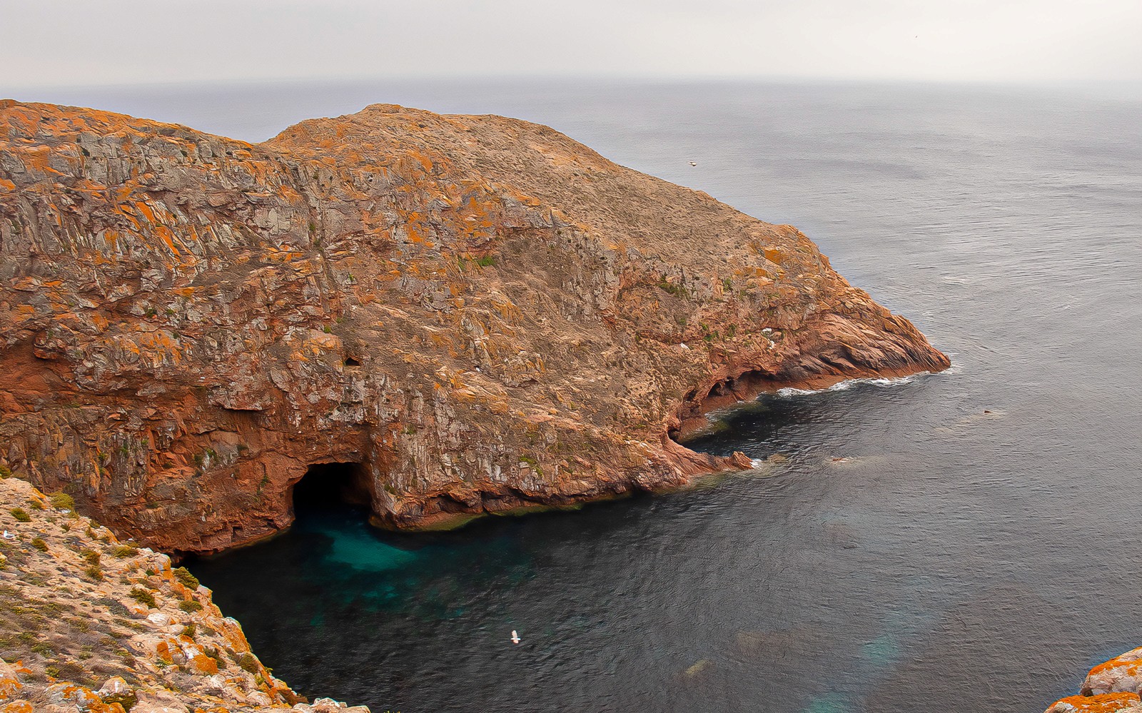 Costa rocosa de la Isla Berlenga Grande con cueva marina, Portugal.