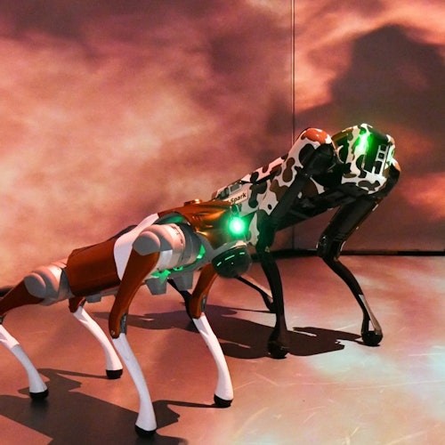 Steel and Flint Robot Dogs