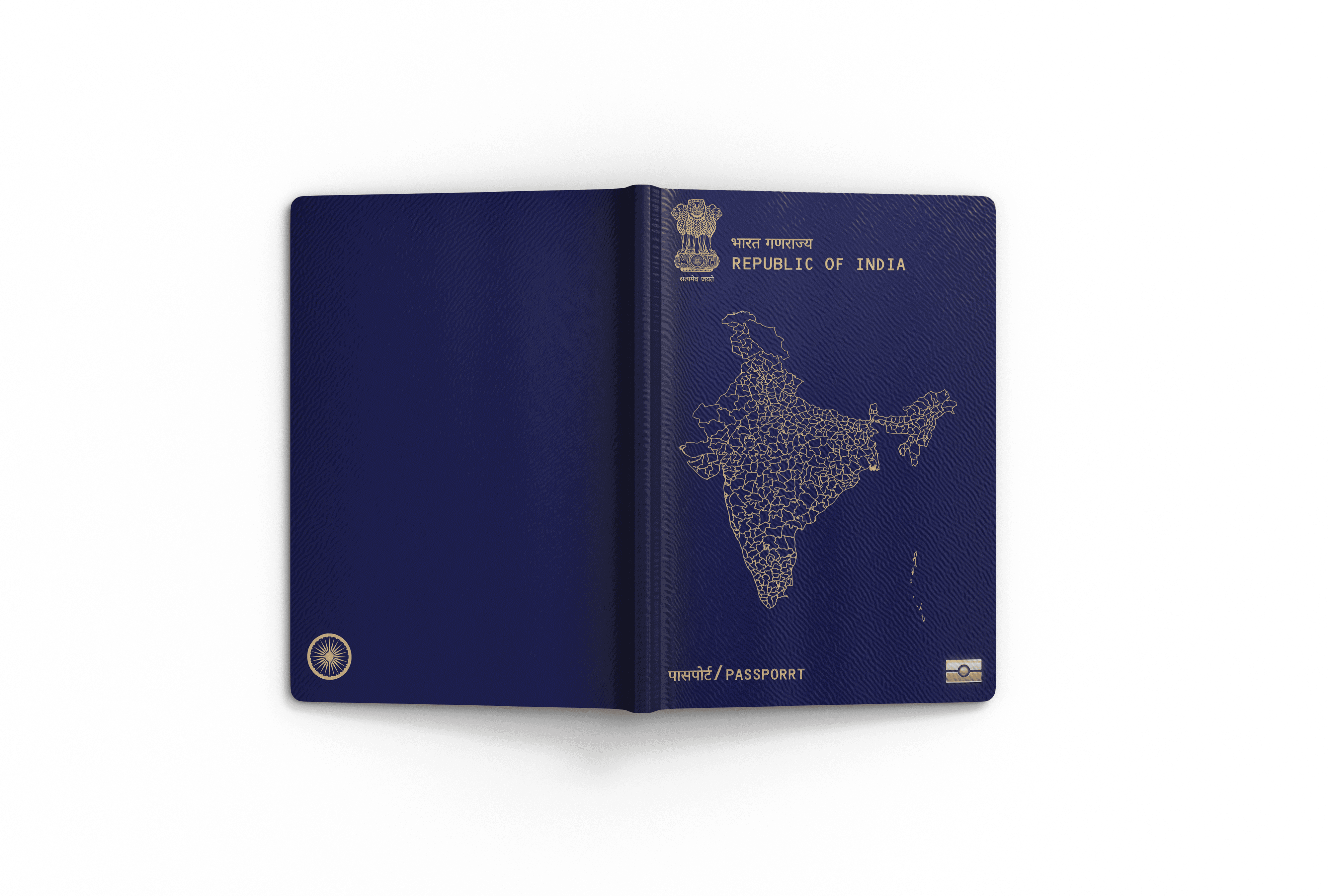 Project Content Image - 4