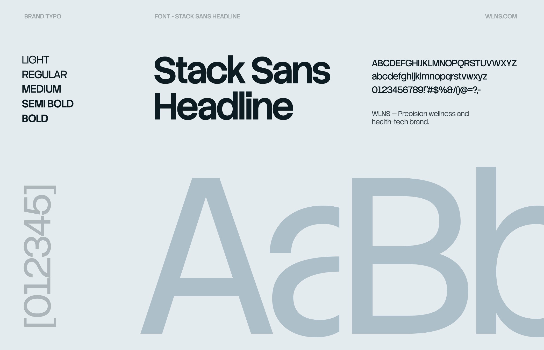 wlns brand typography