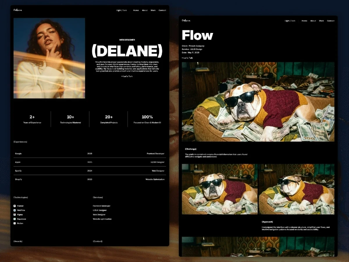 About experience timeline and project details layout within the Delane Framer template.