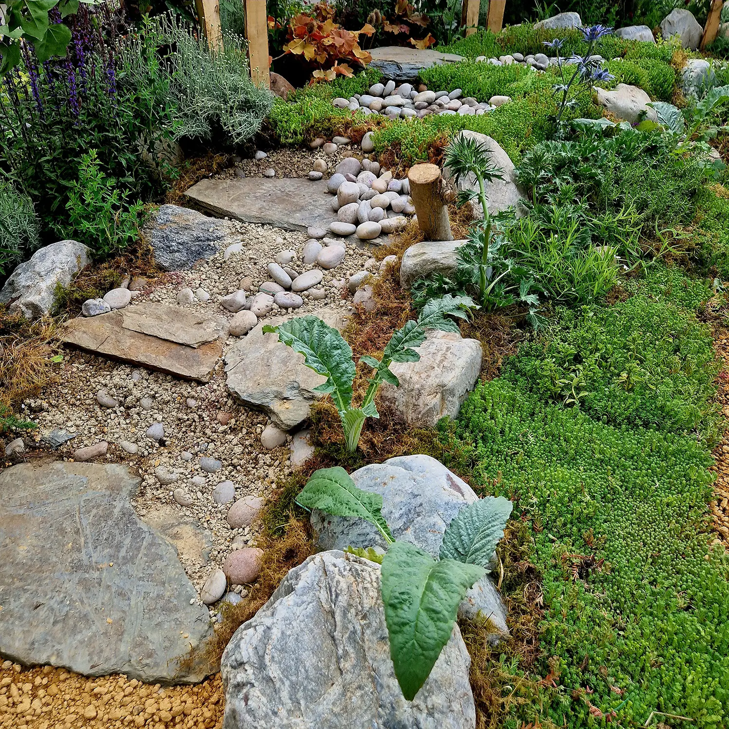 A stone pathway winds through a lush garden with green plants and small rocks, surrounded by vibrant greenery.