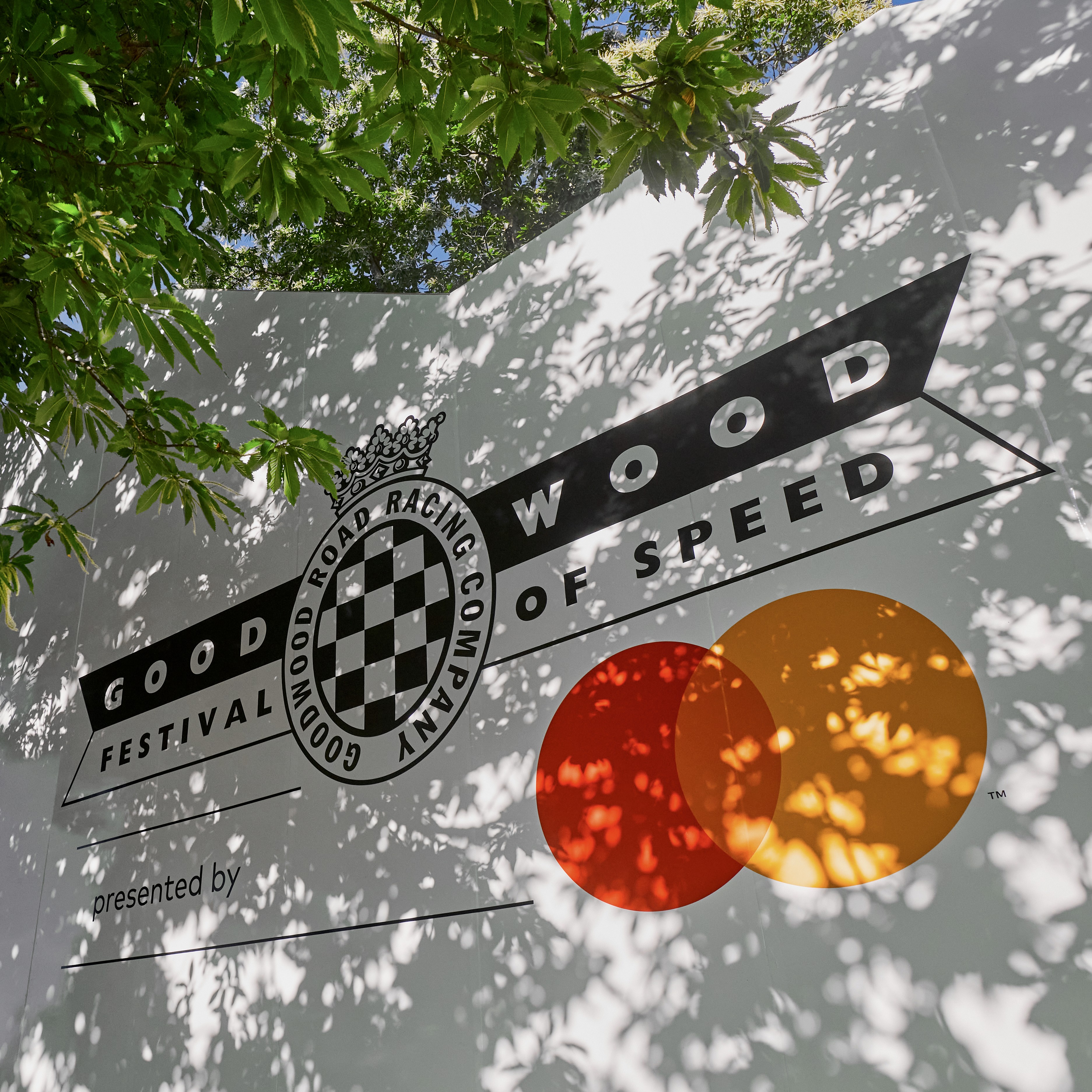 woman holding sliced citrus