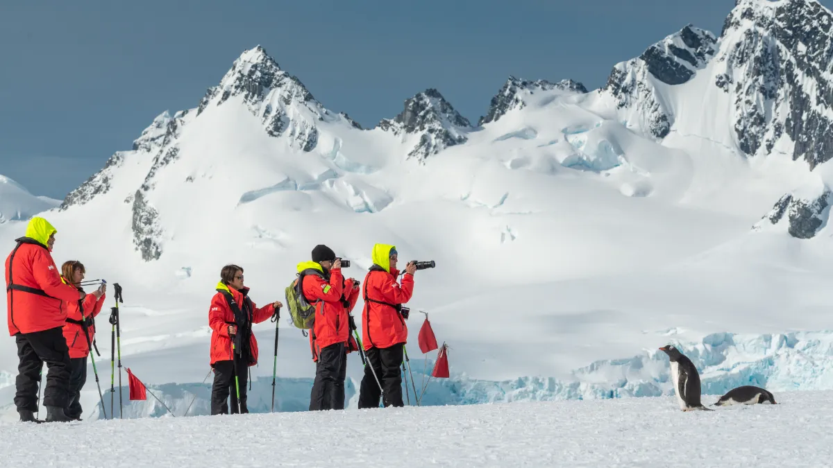Travelers hiking near penguins in Antarctica