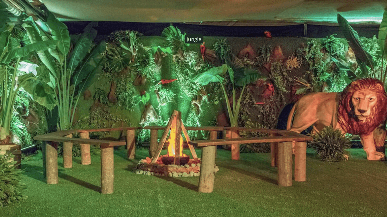 decor-soiree-theme-jungle.jpg