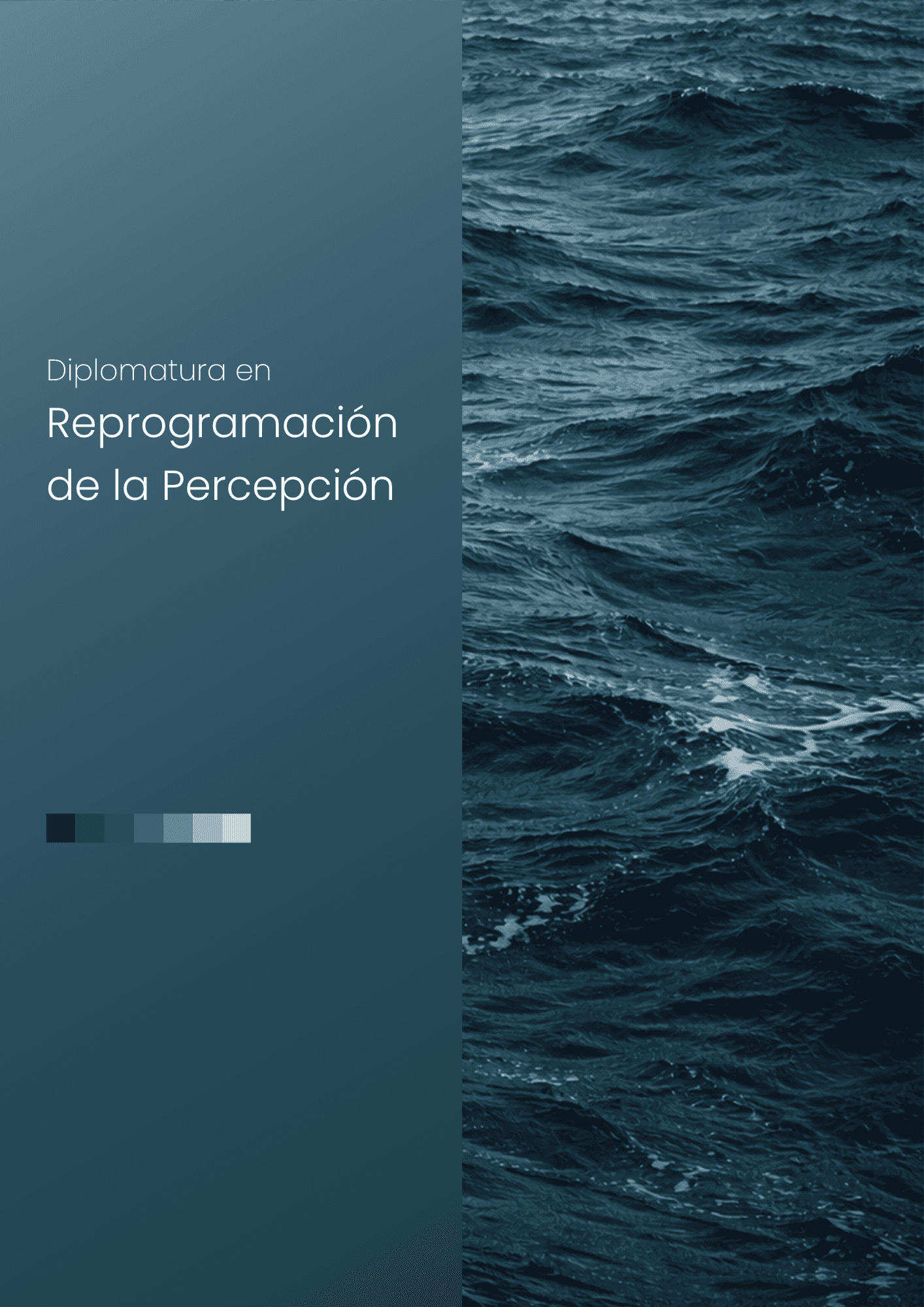 ¿Quieres ir más allá del material introductorio?