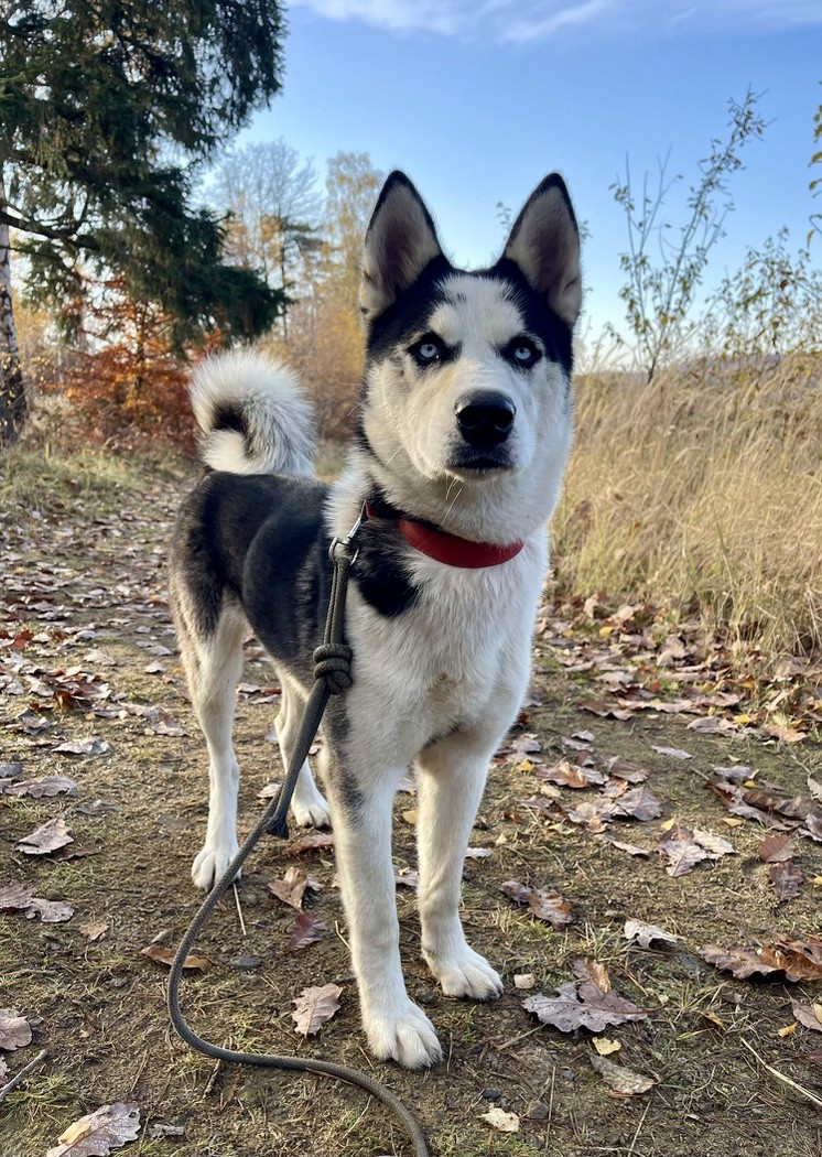 How Cleo Found Her Perfect Match