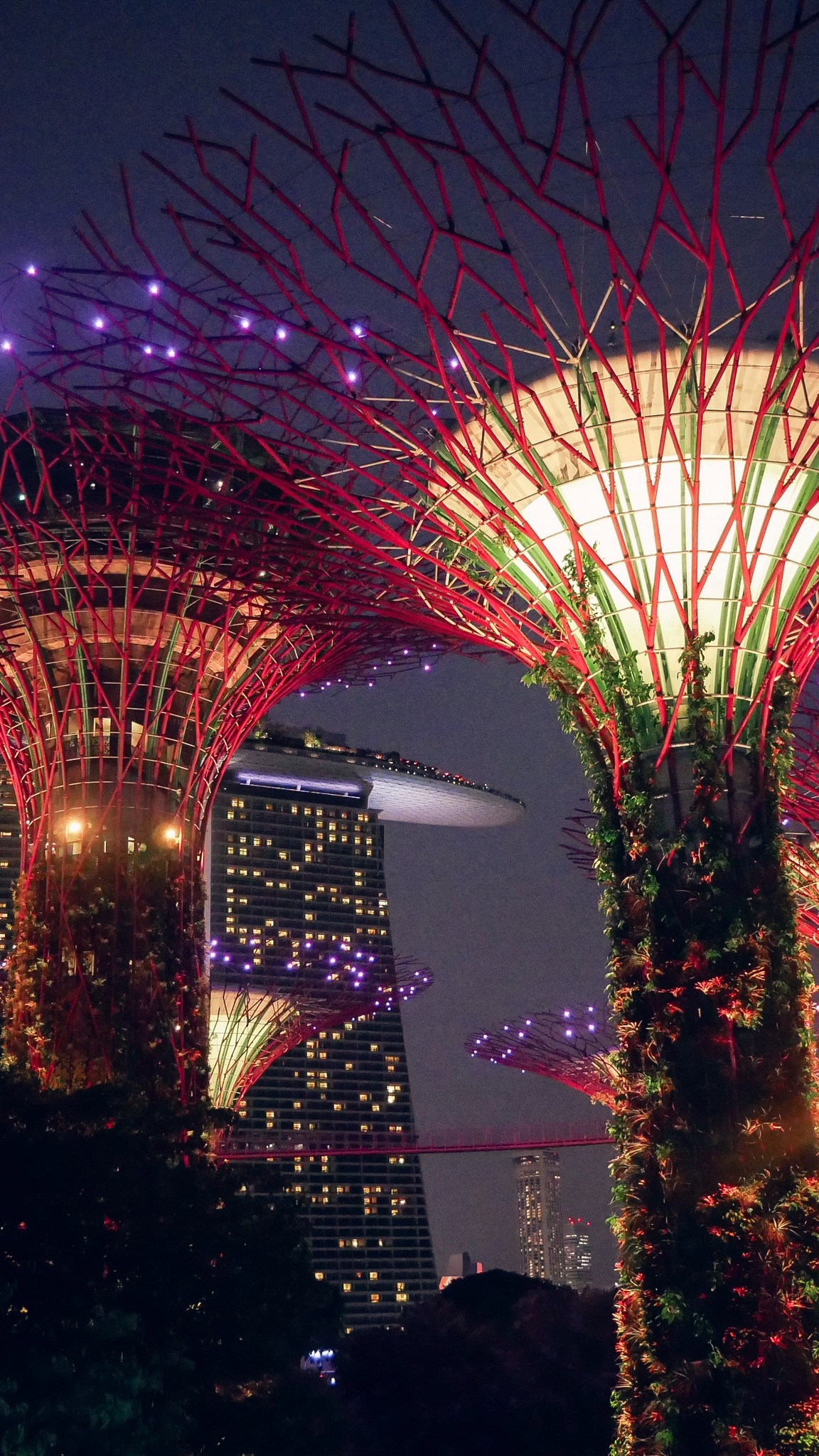 Garden by the bay in singapore by night