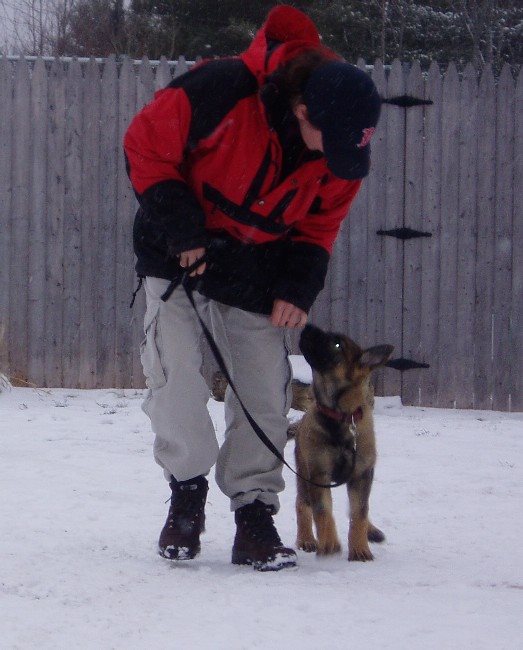 a-woman-is-playing-with-a-dog-in-the-park - anna-dudkova (unsplash)./pho