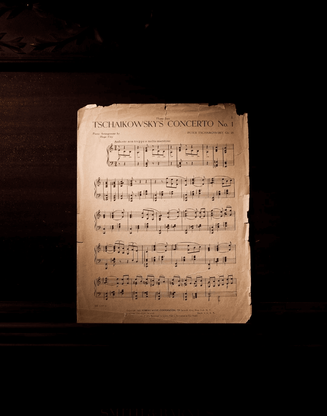 Renabase by Renavie - Calvin Fu