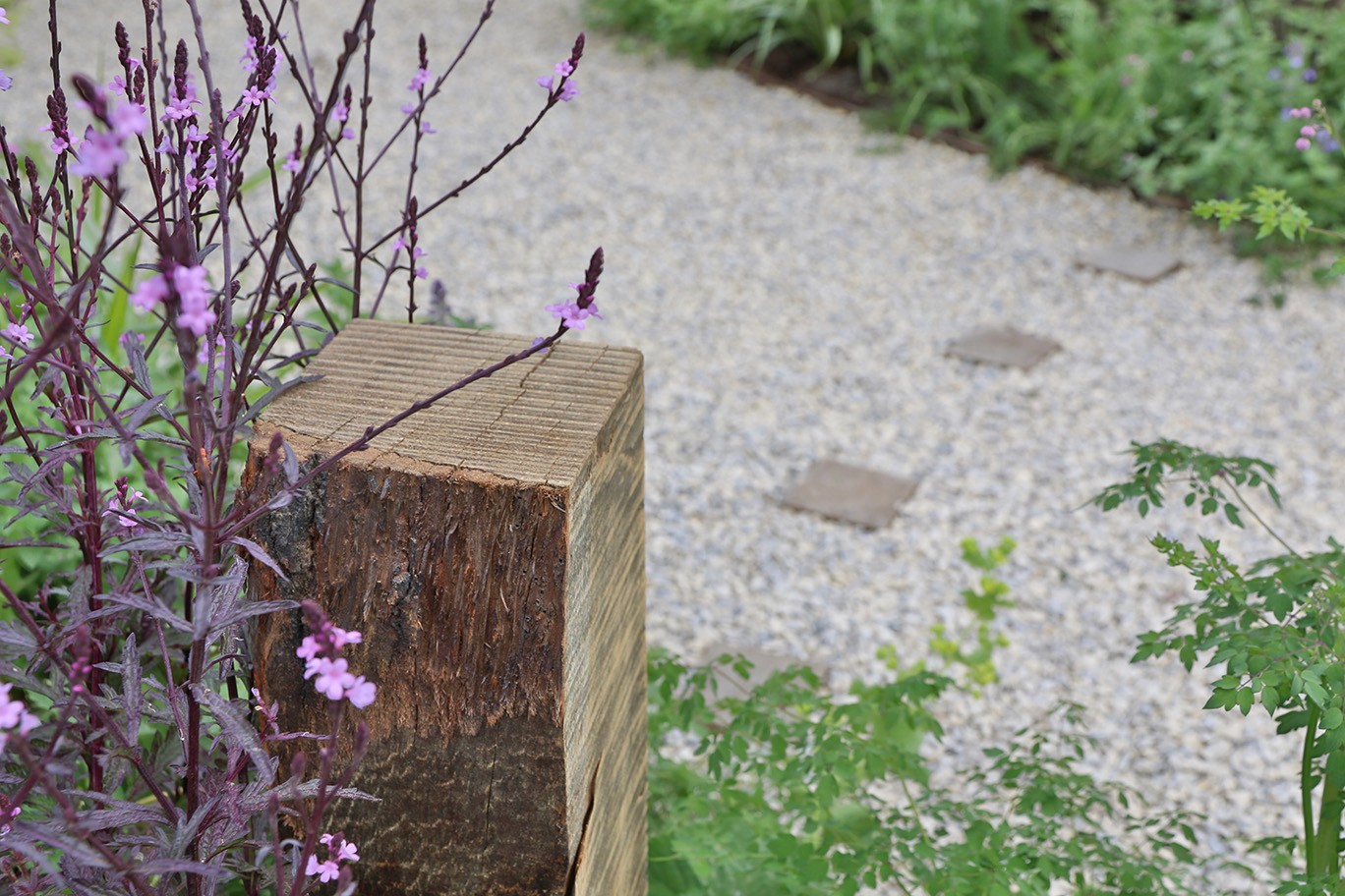 A flowerbed with purple flowers beside a stone path, partially obscured by greenery and a wooden planter.