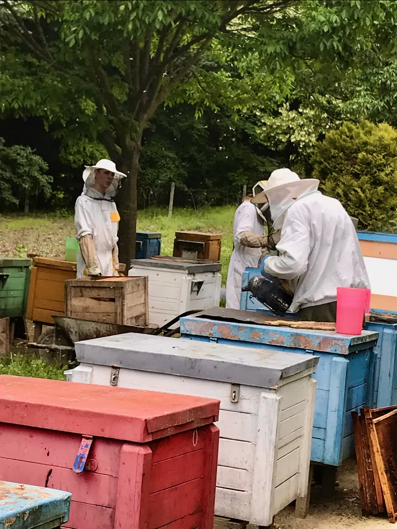 Generációk dolgoznak együtt a magyar prémium mézek pergetésben