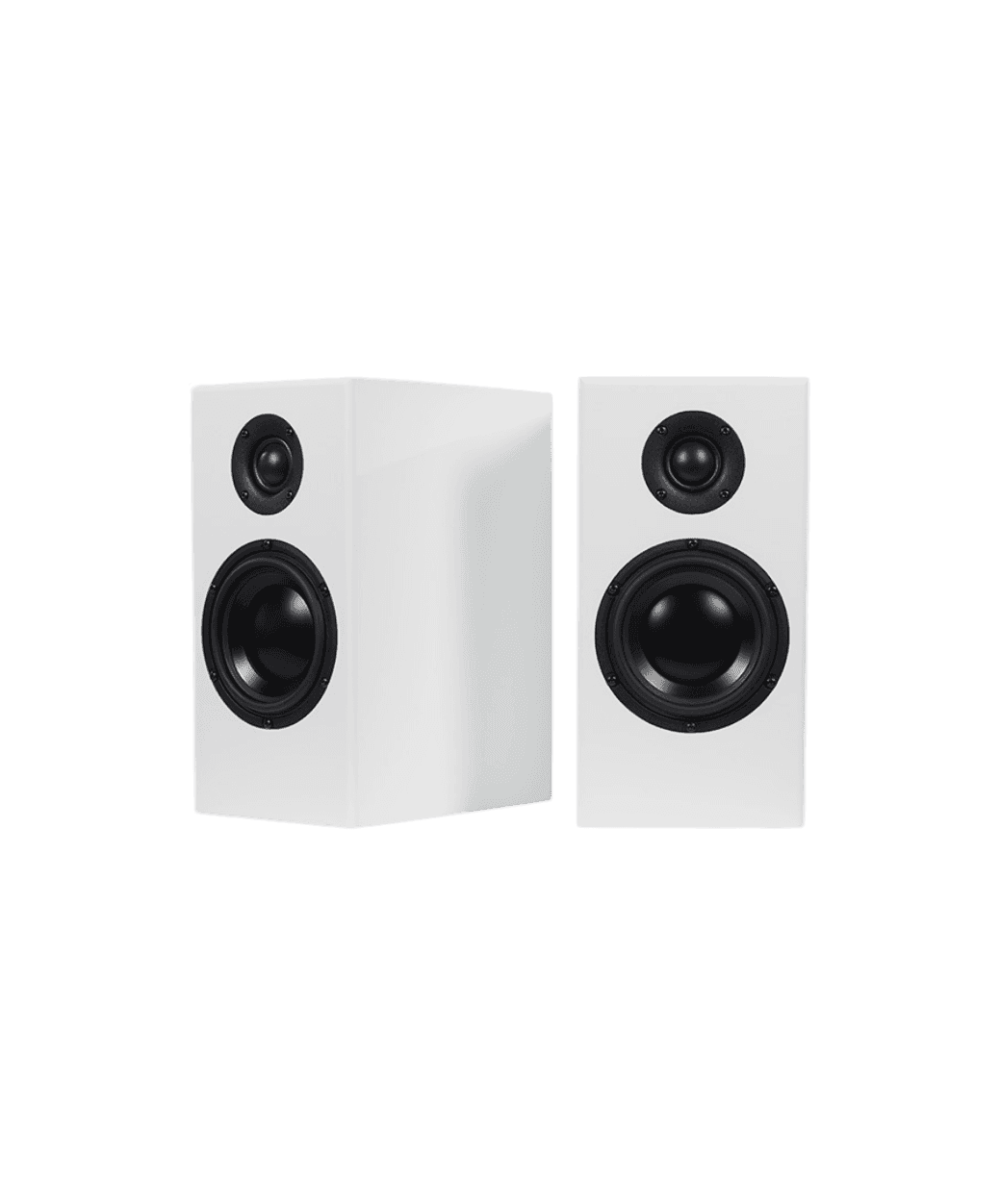 Totem Bison monitor blanc - LE STUDIO HIFI 