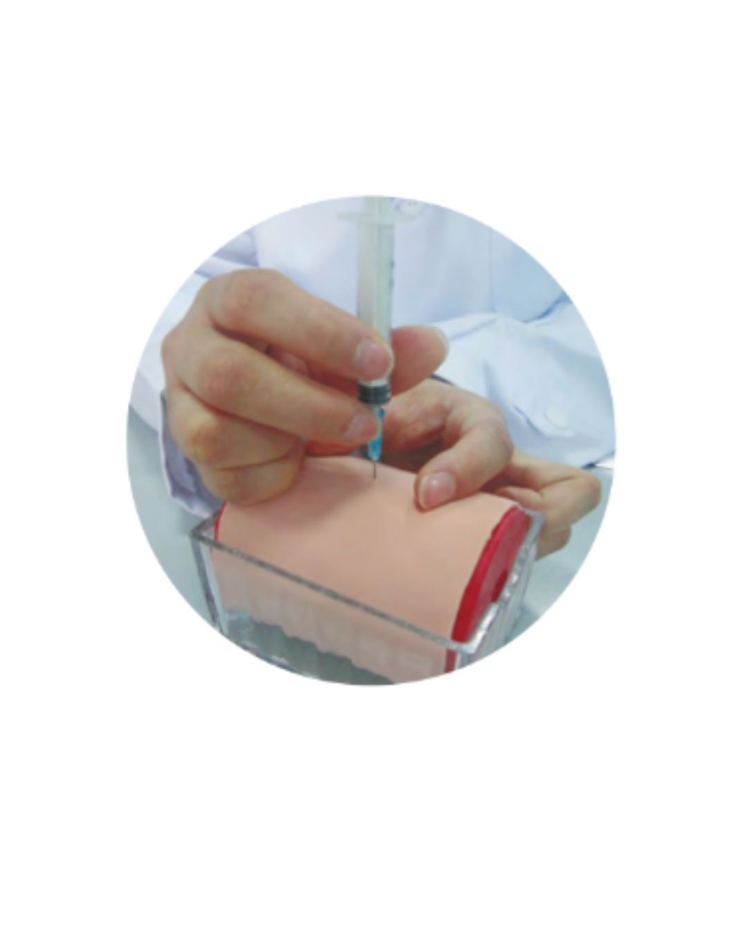 Multi-functional Injection Model