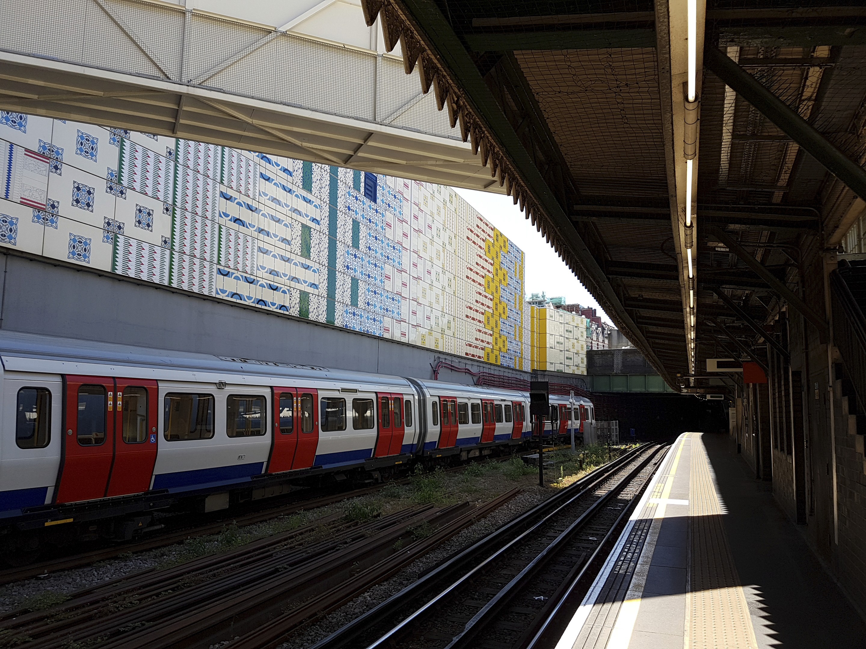 person sitting on grass and using phone