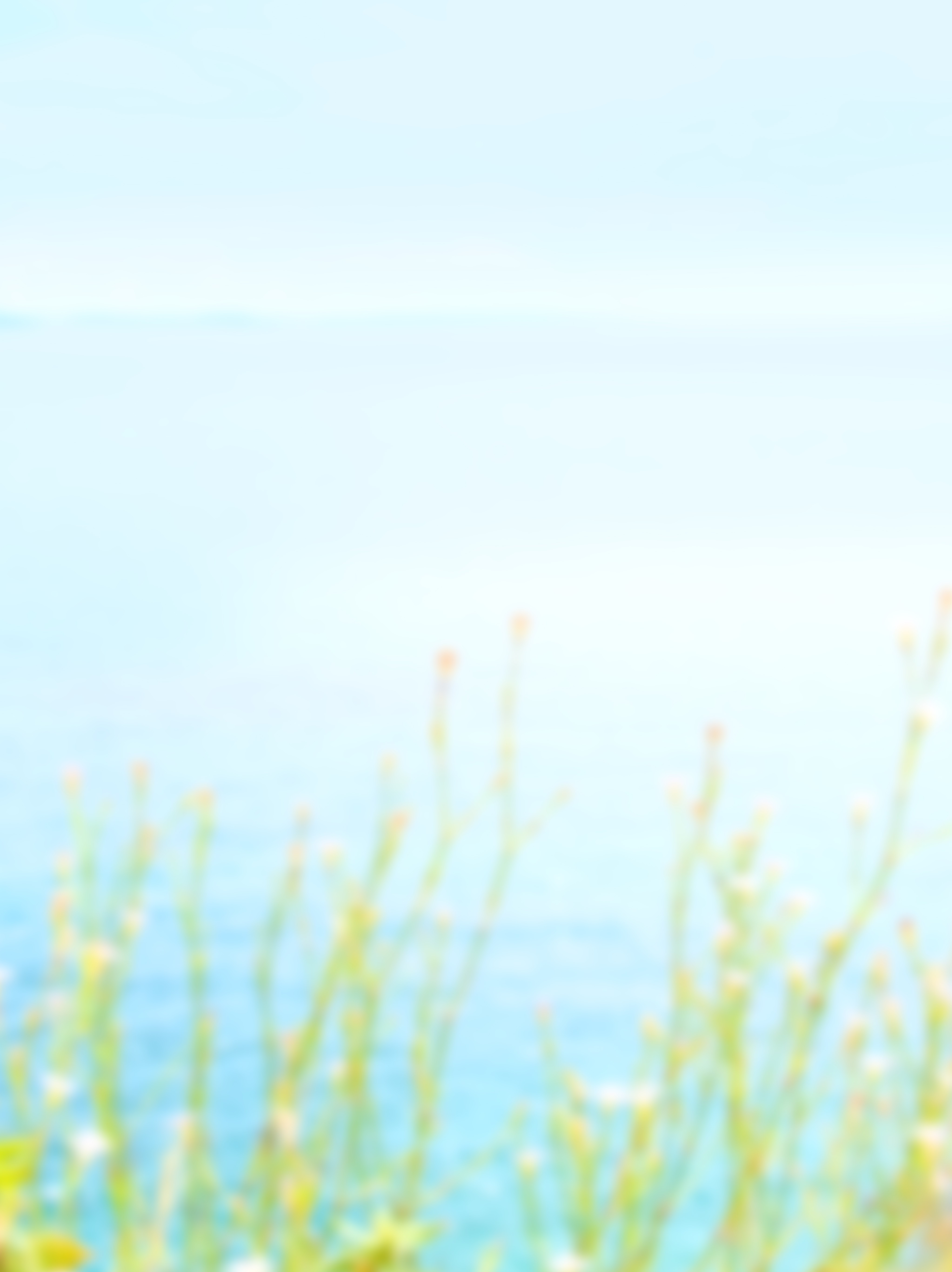 Flowers at the sea