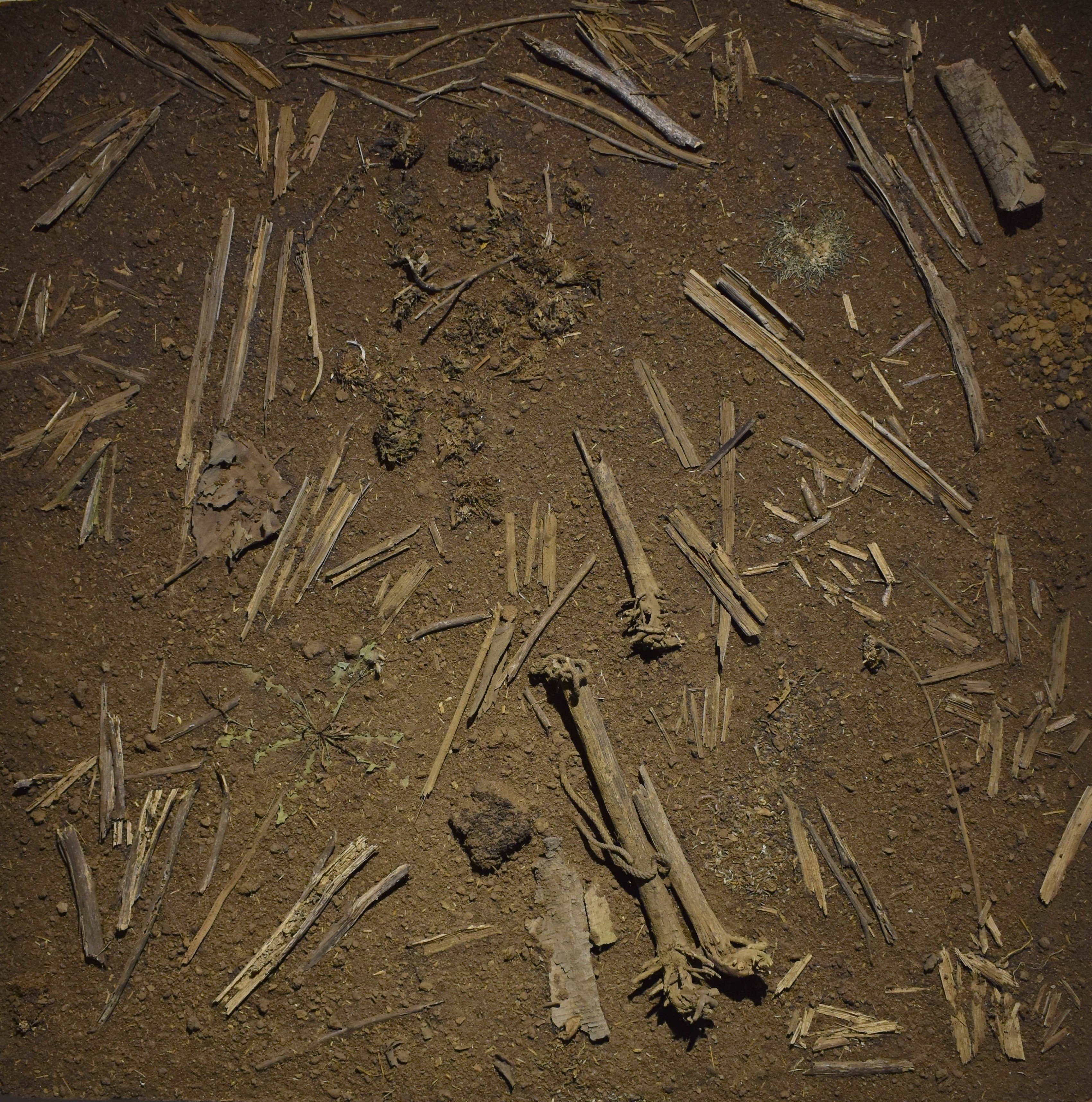 herd of sheep on road painting