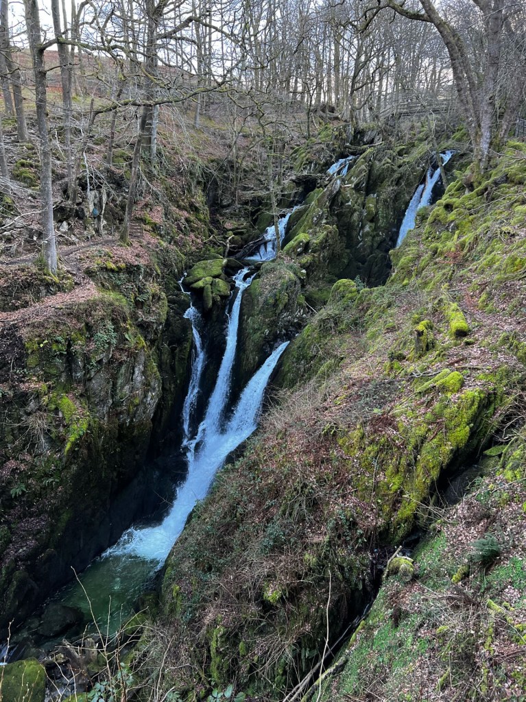 The Stock Ghyll Force waterfall found on the trail to Wansfell from Ambleside. Three falls converge into one as the water tumbles down the rocks. A small wooden bridge can be seen at the top. The surrounding area is a mossy, bare woodland.