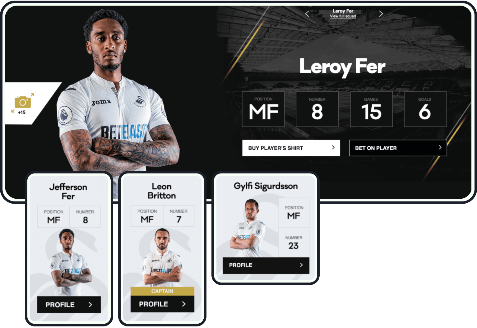 Swansea City player profile modules