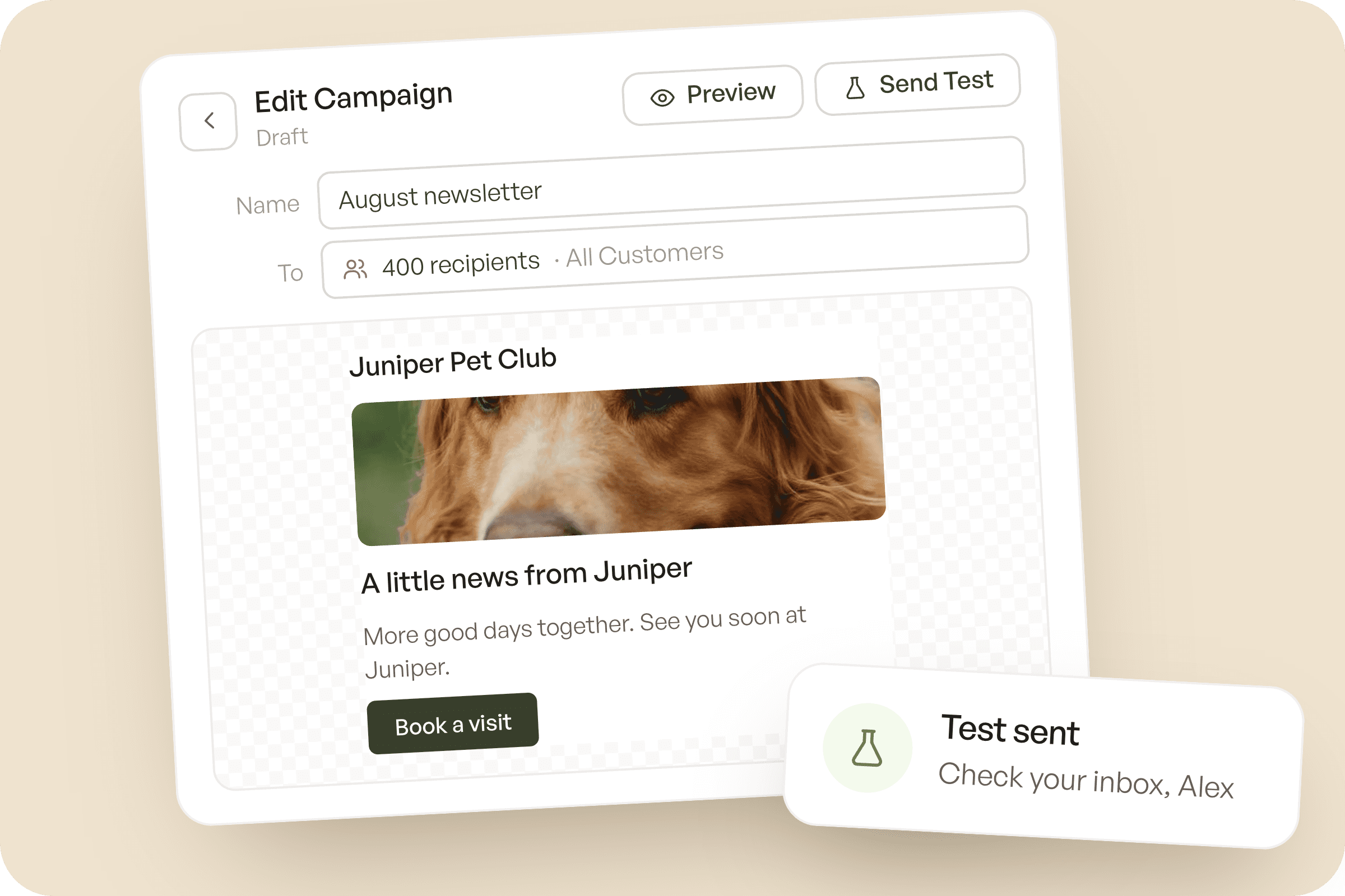 Creating an email campaign from a template