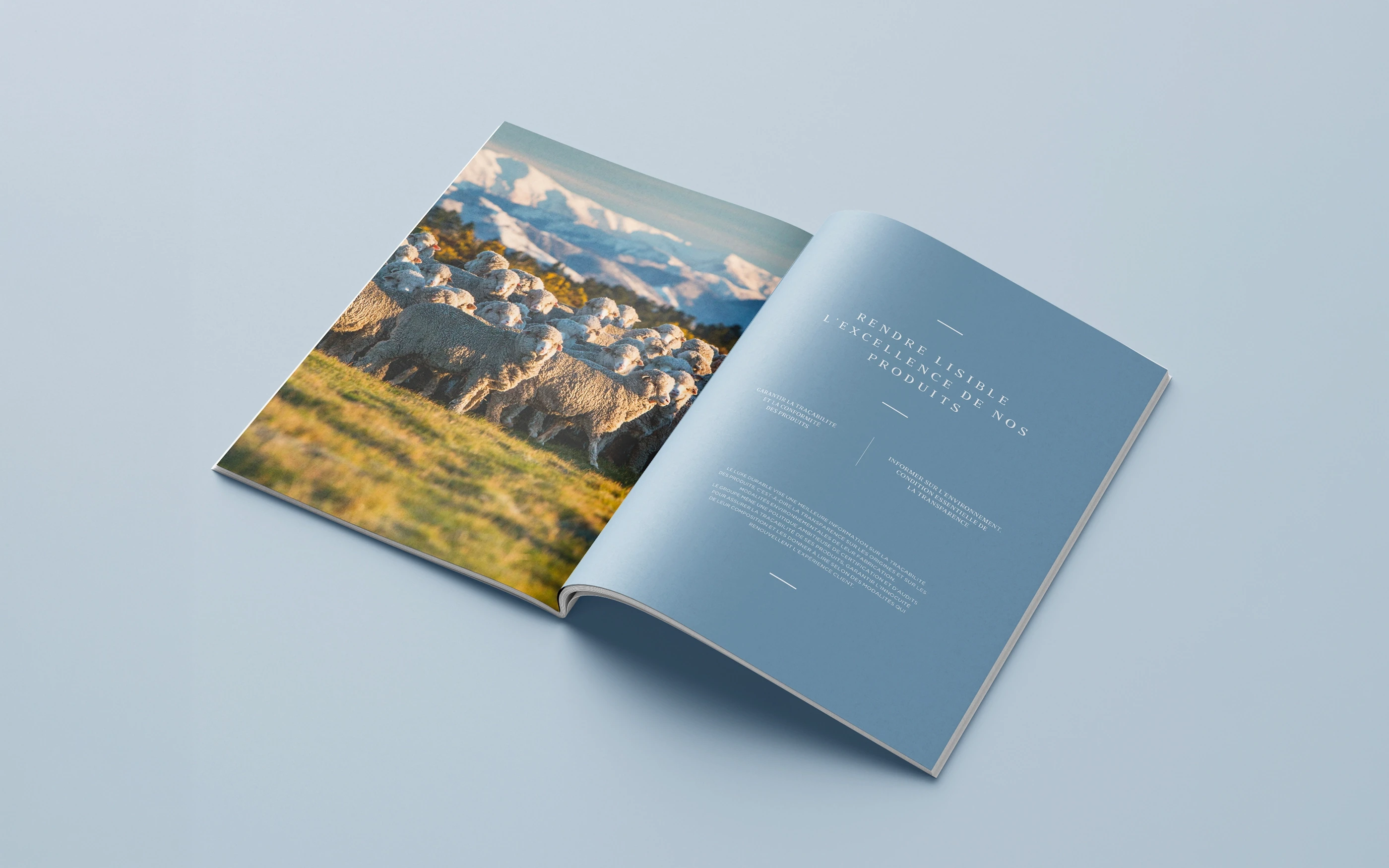 Rapport responsabilité environnementale et sociale 2019