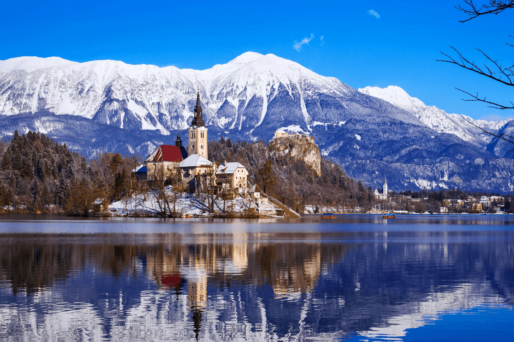 brown boat near dock
