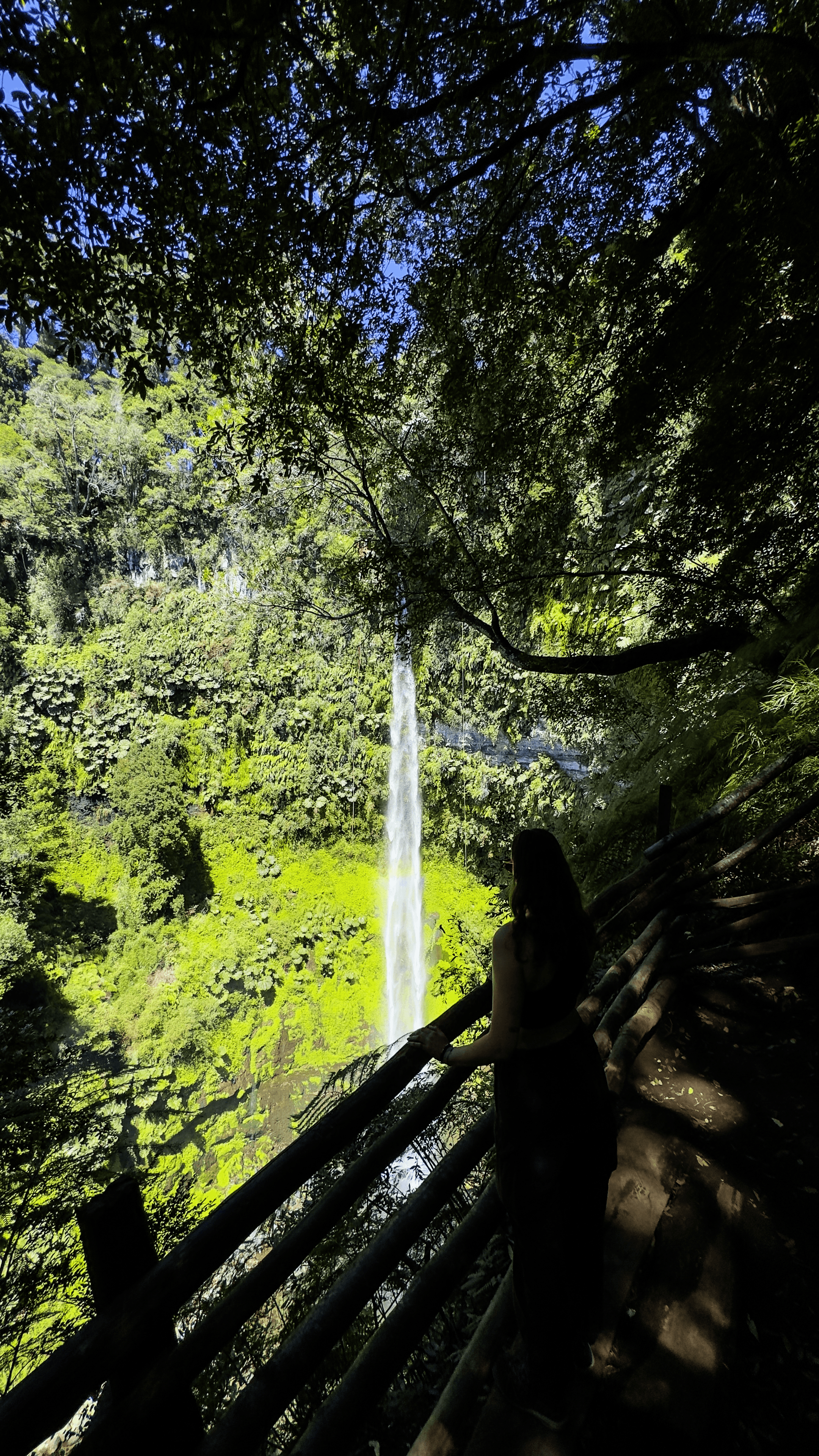 une cascade d'eau entourée de verdure à pucon