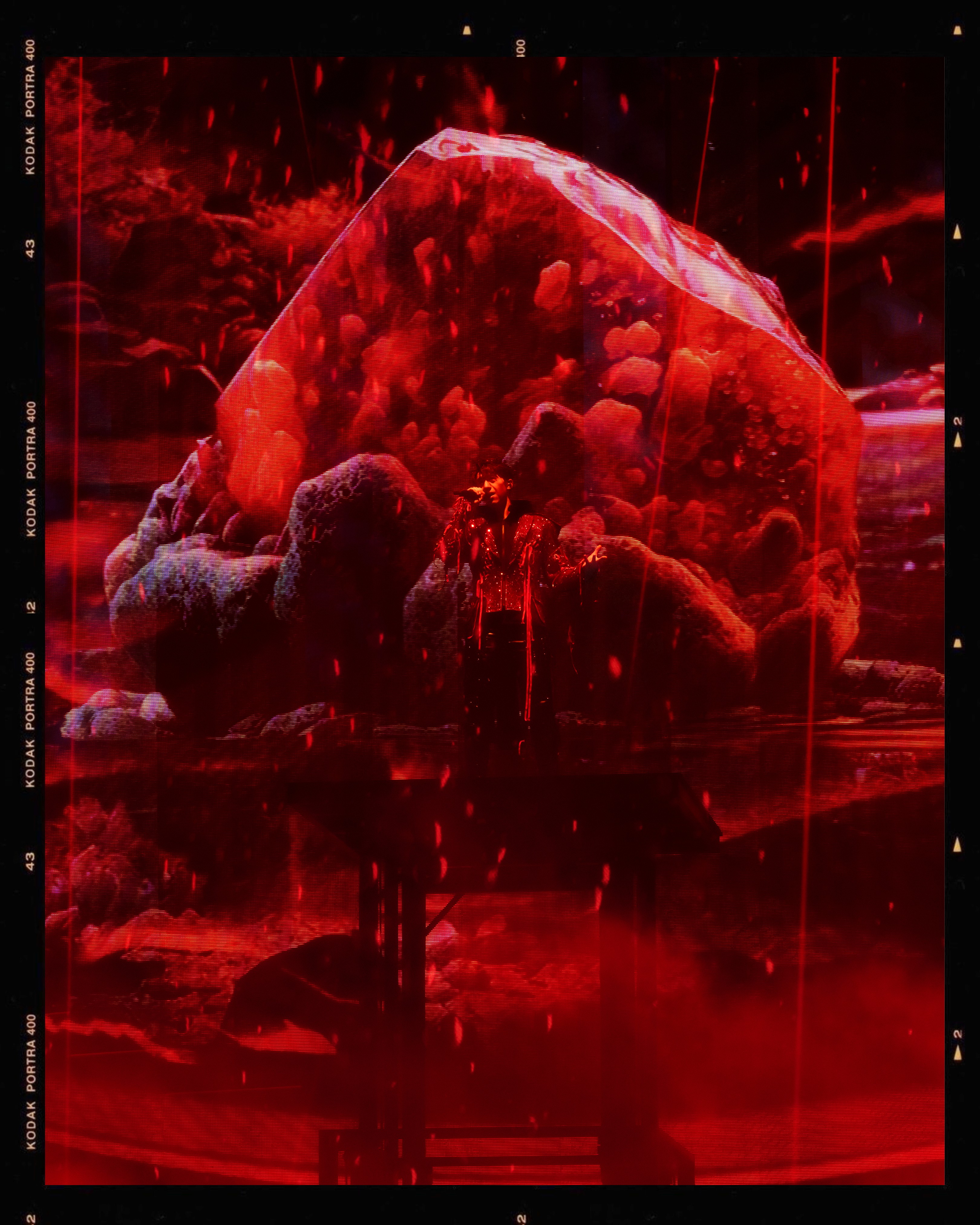 Concert Performance Photo