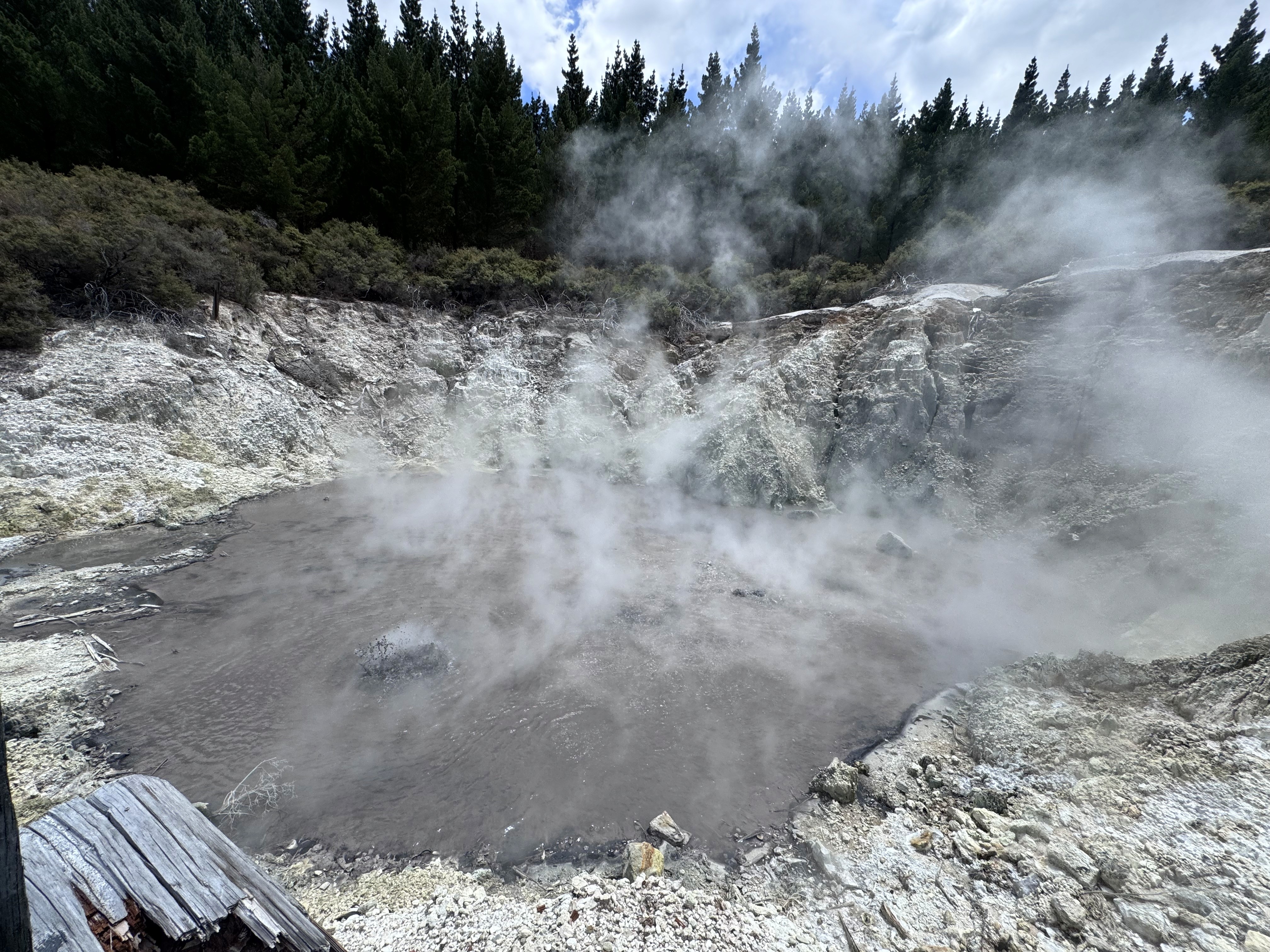 A steaming pool at Hell's Gate, Rotorua