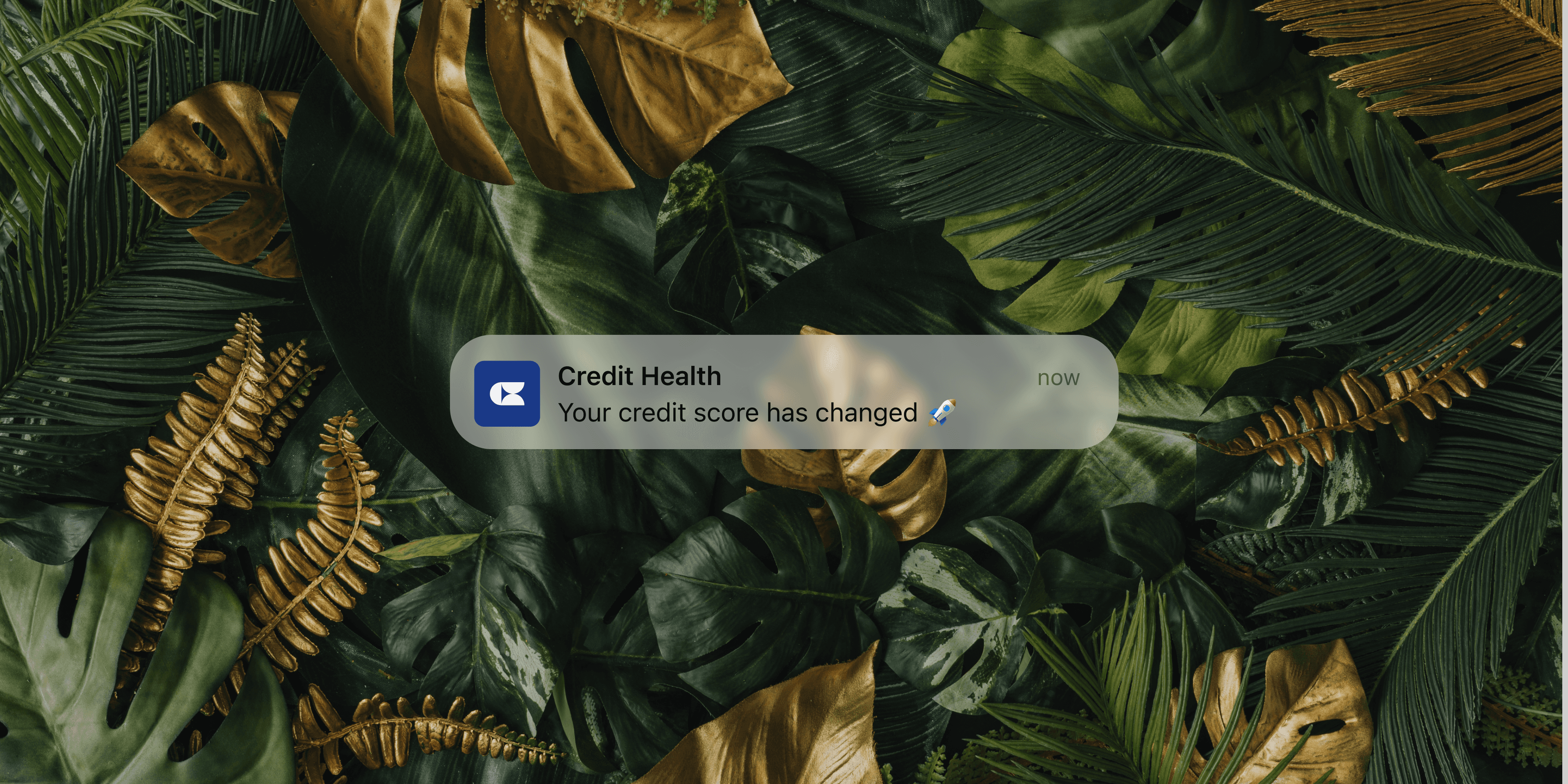 Credit Card Compare cover