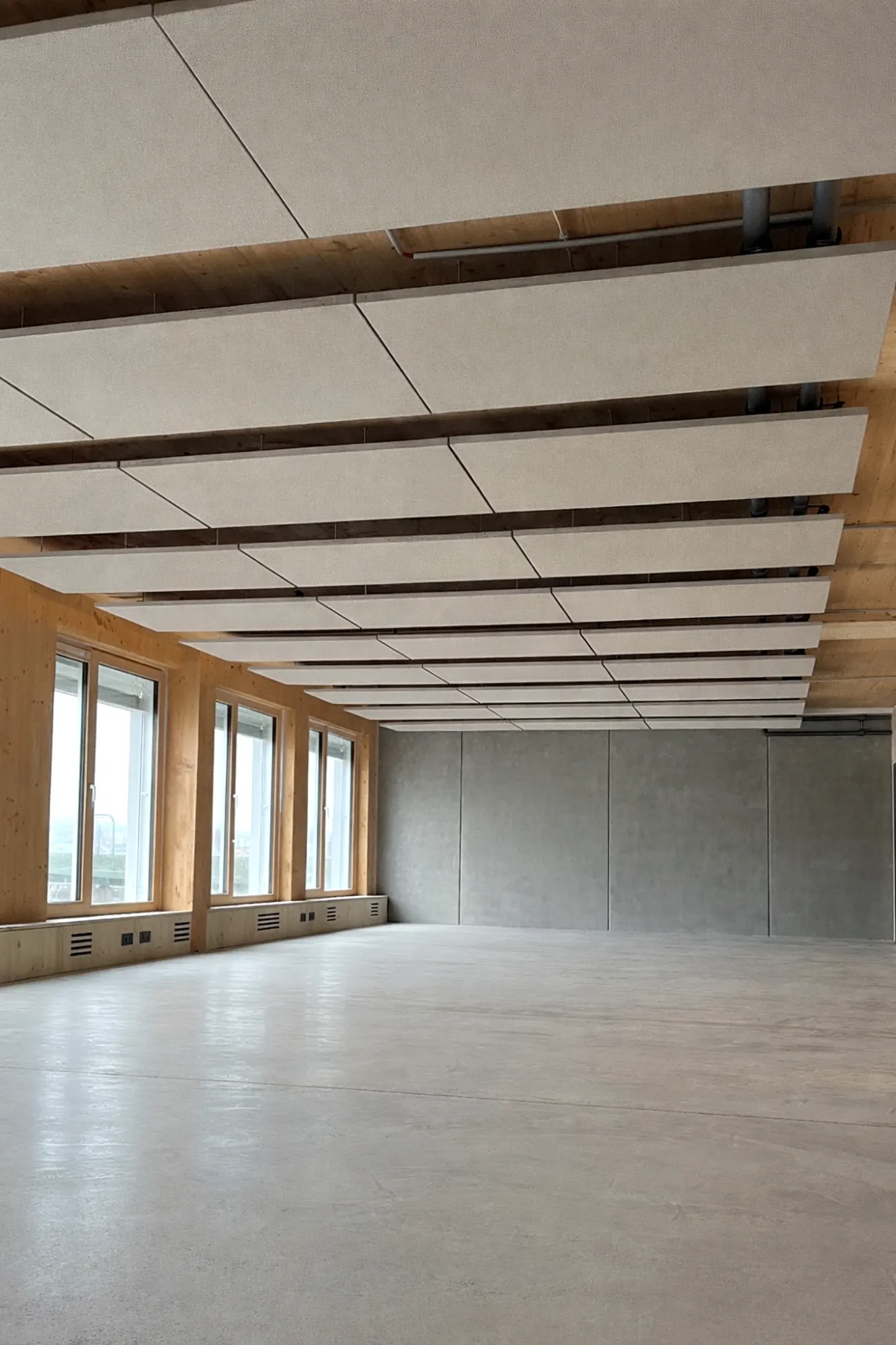 abaton Akustik-Klimasegel an der Holzdecke eines leeren Büroraums mit Fensterfront