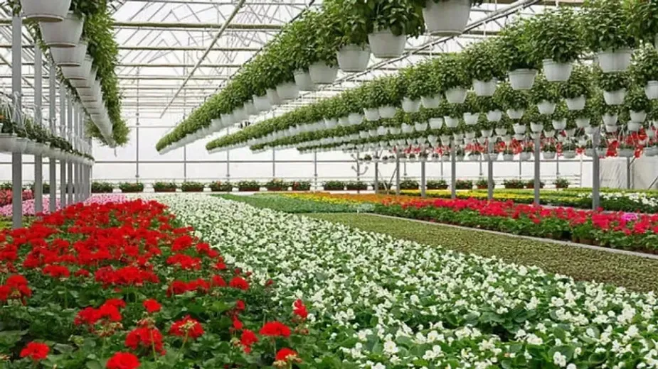 Floriculture - Types of Horticulture Crops.webp
