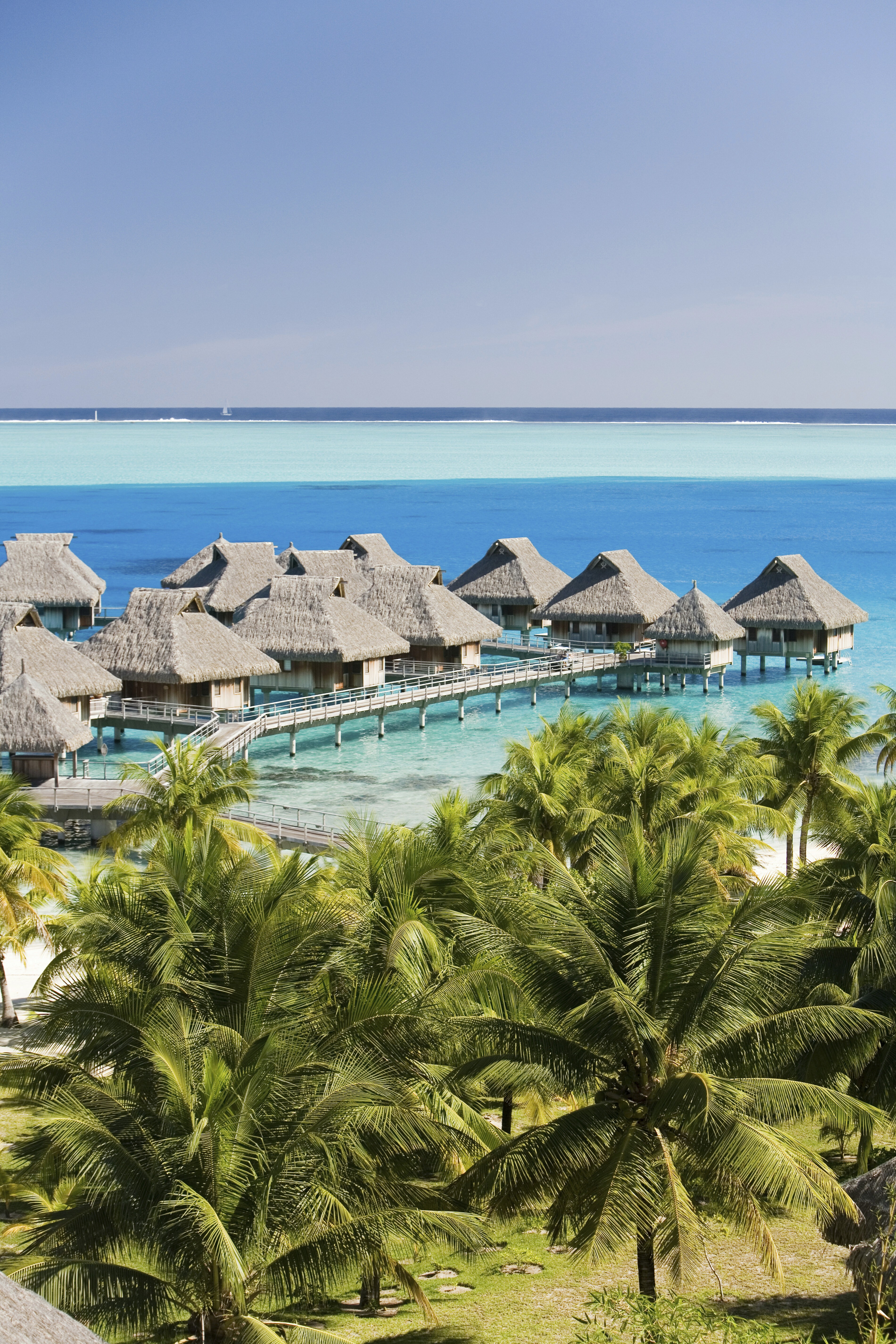 Close-up of a tree stump showing growth rings and a textured brown wood surface.
