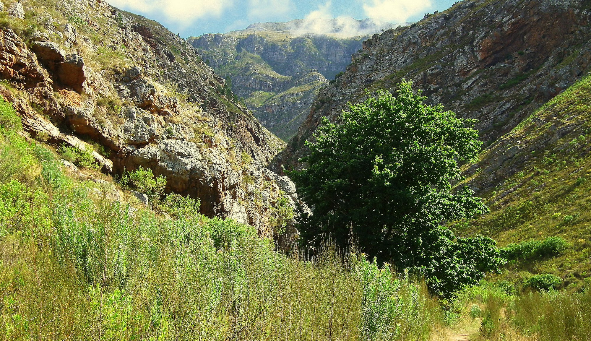 Todos los efectos naturales