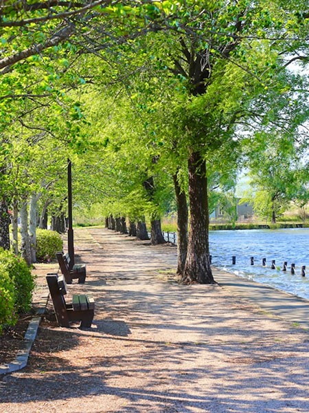 Neighborhood's highlights