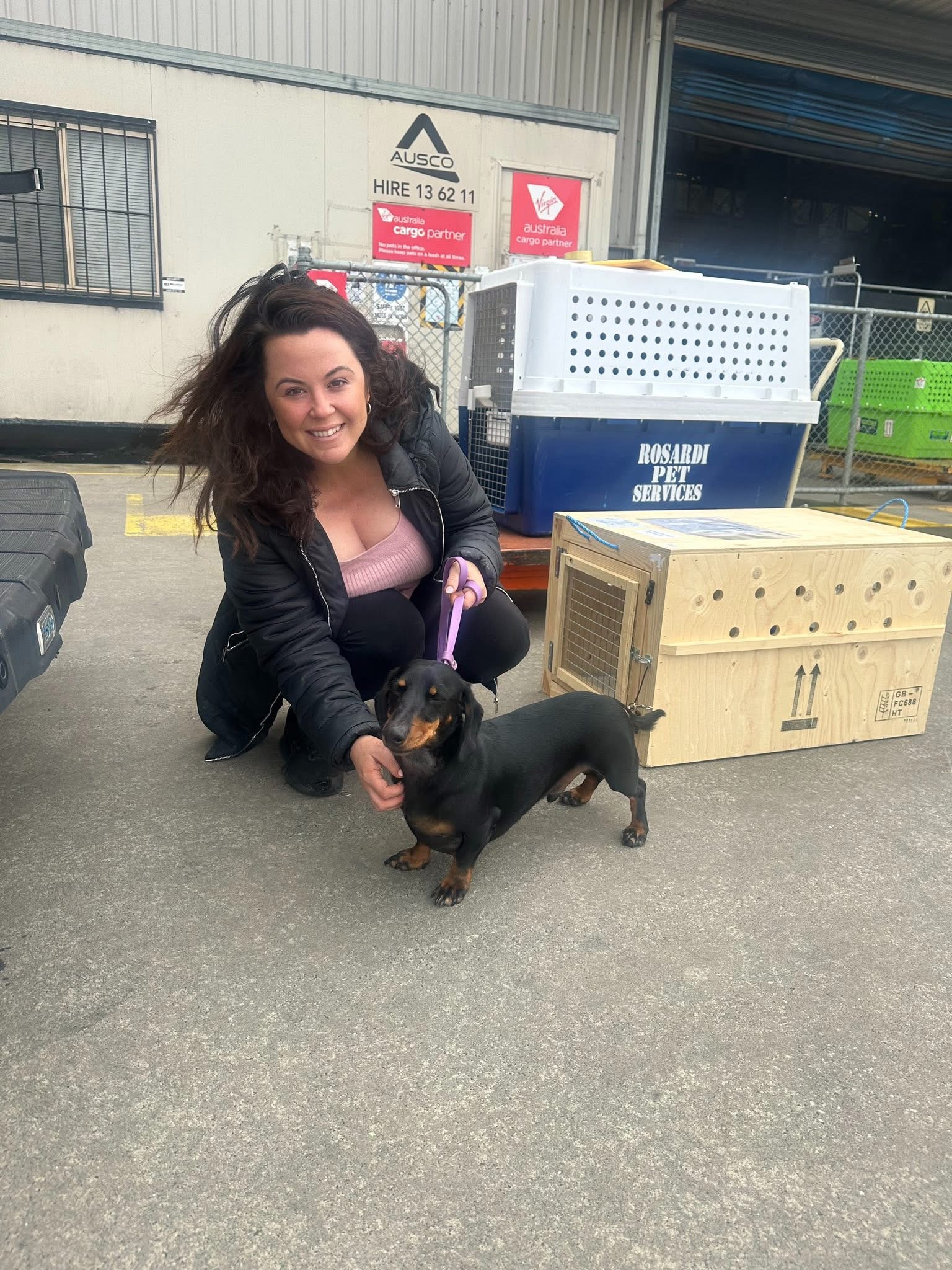 Dog with travel crate