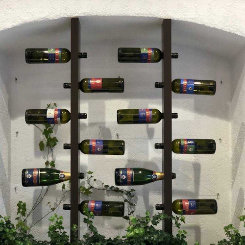 一个墙壁安装的酒架水平放置着九个瓶子，底部有绿色植物。瓶子上贴有色彩鲜艳的标签。