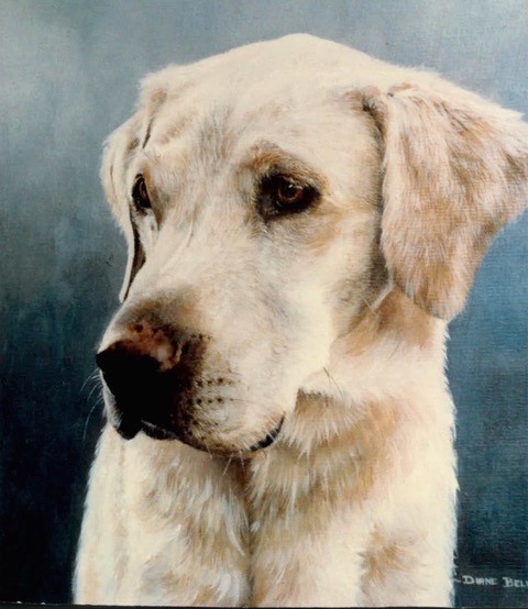 golden retriever dog painting with plain background