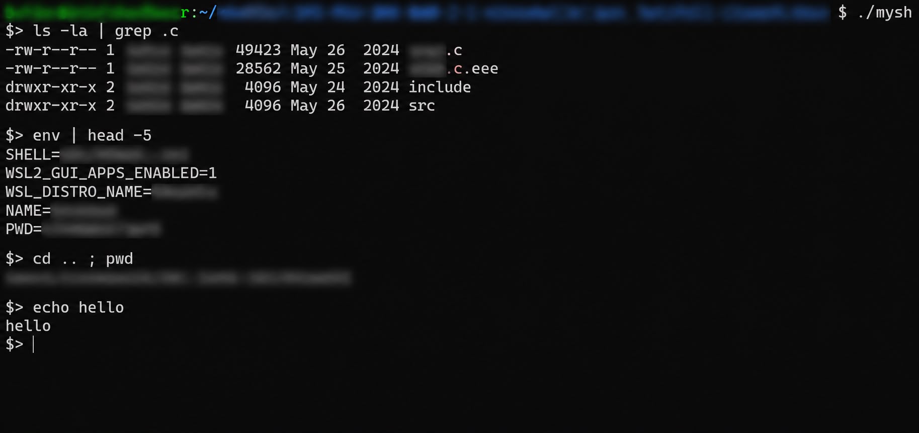The shell running in a terminal: listing files, printing environment variables, changing directory and echoing text