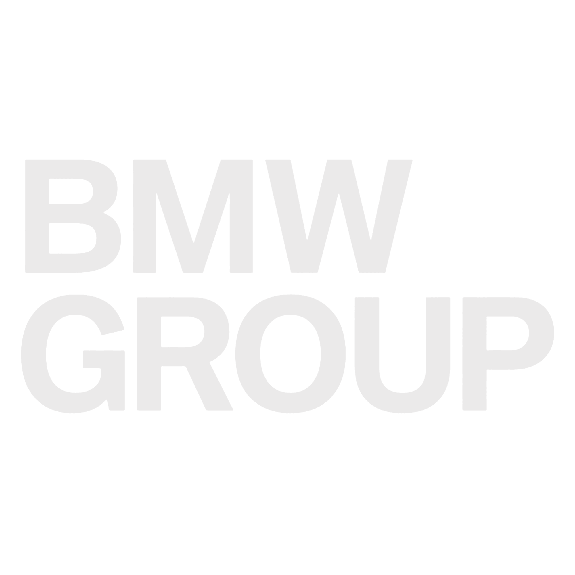 BMW GROUP logo png grey