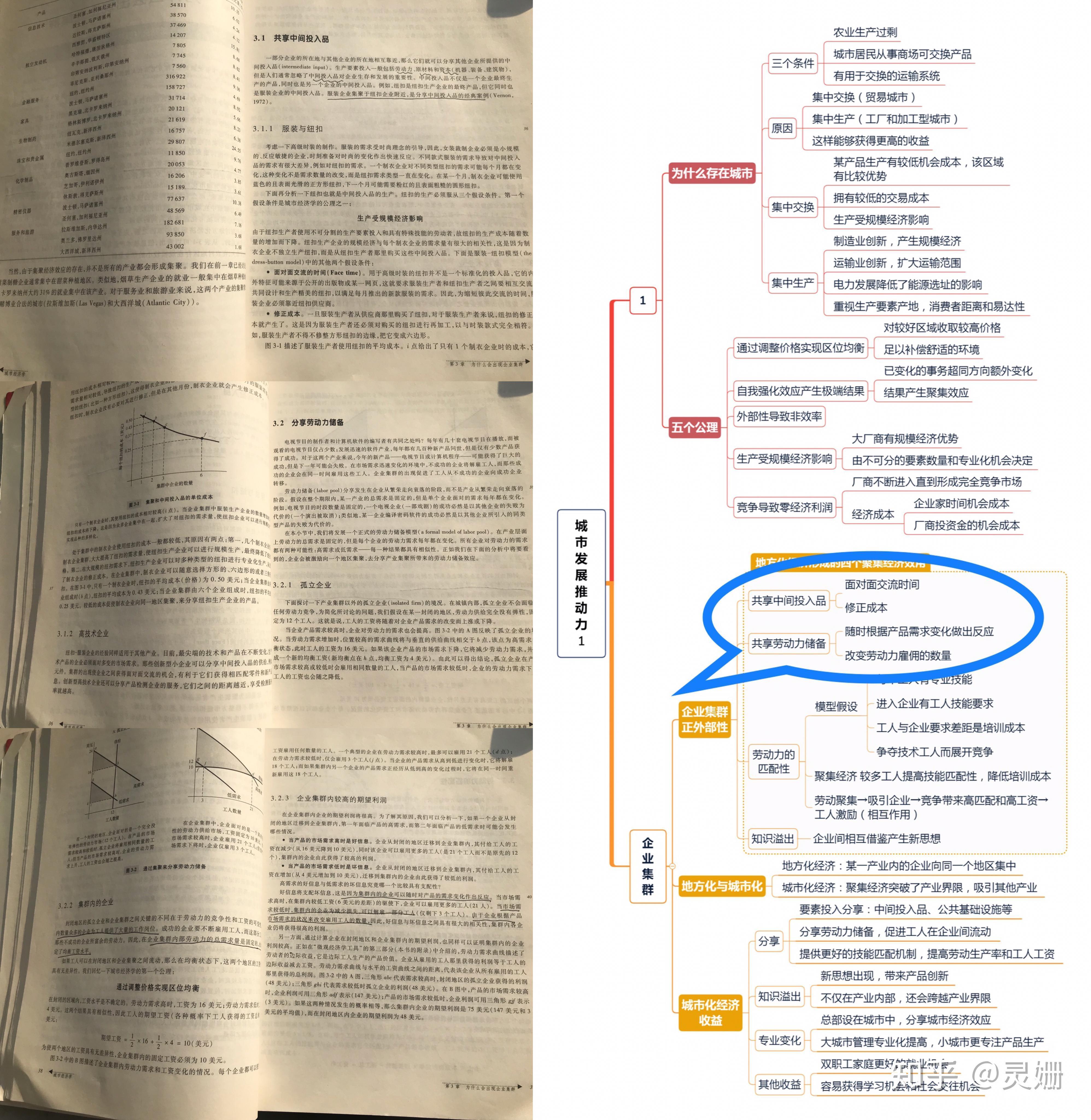 教材与思维导图