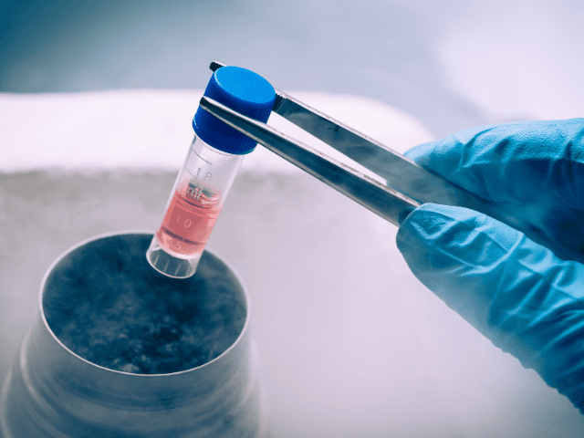 The Role of Regenerative Medicine in Wound Care