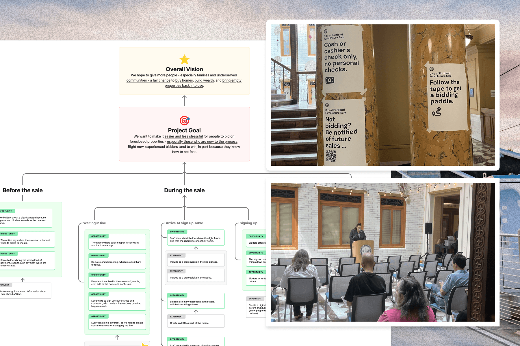 trees on forest with sun rays