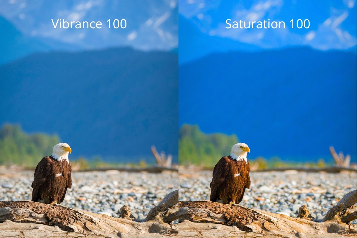 Vibrance vs. Saturation example