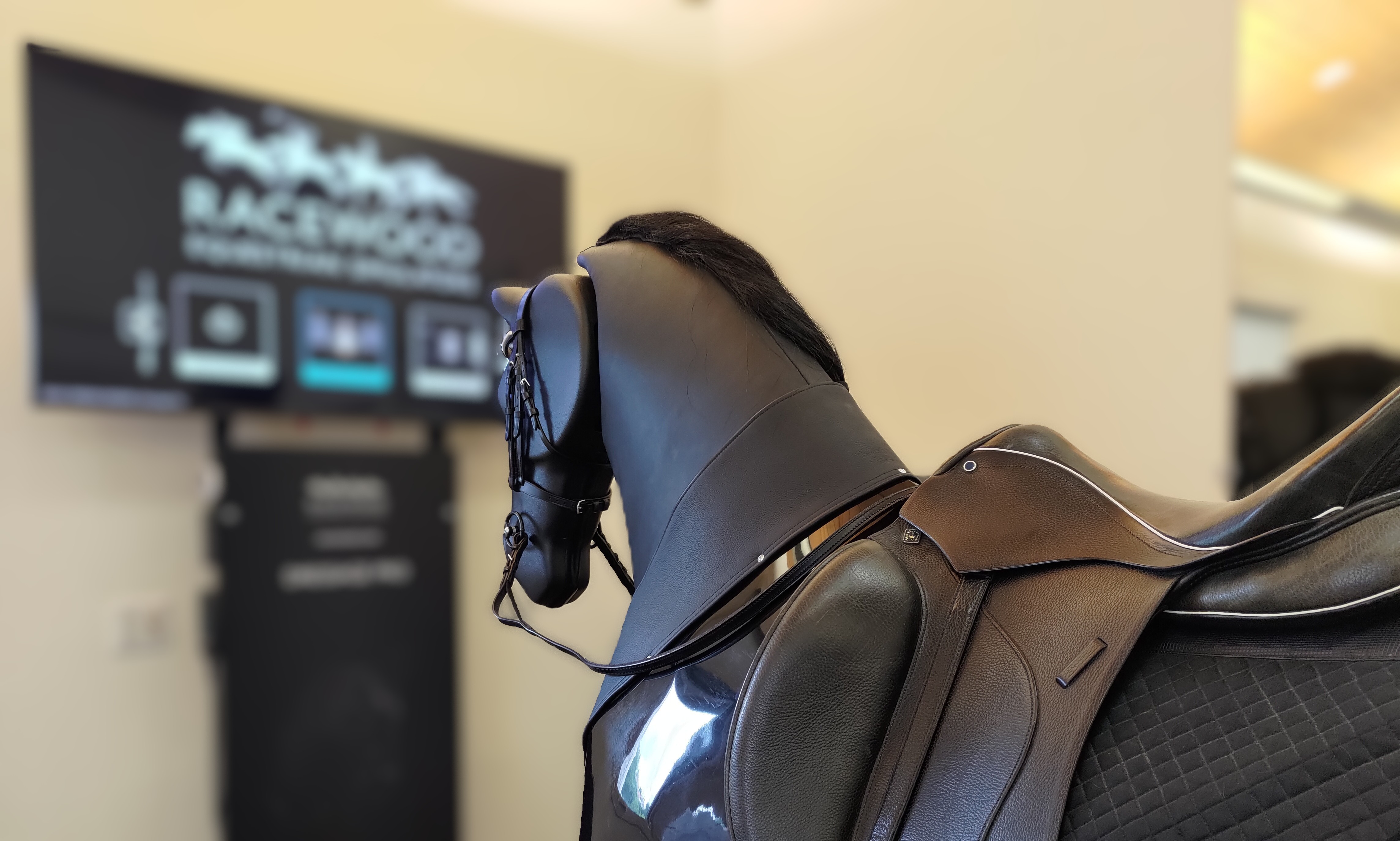 Picture of a Horseback Riding Simulator